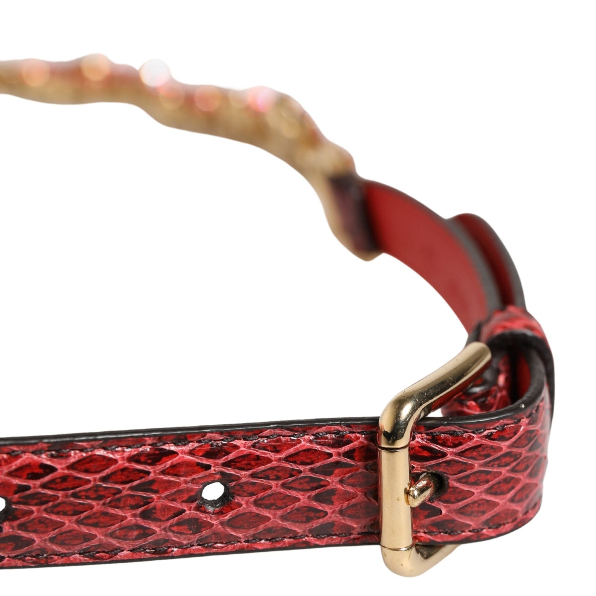 Dolce & Gabbana Red Leather Daisy Crystal Embellished Waist Belt