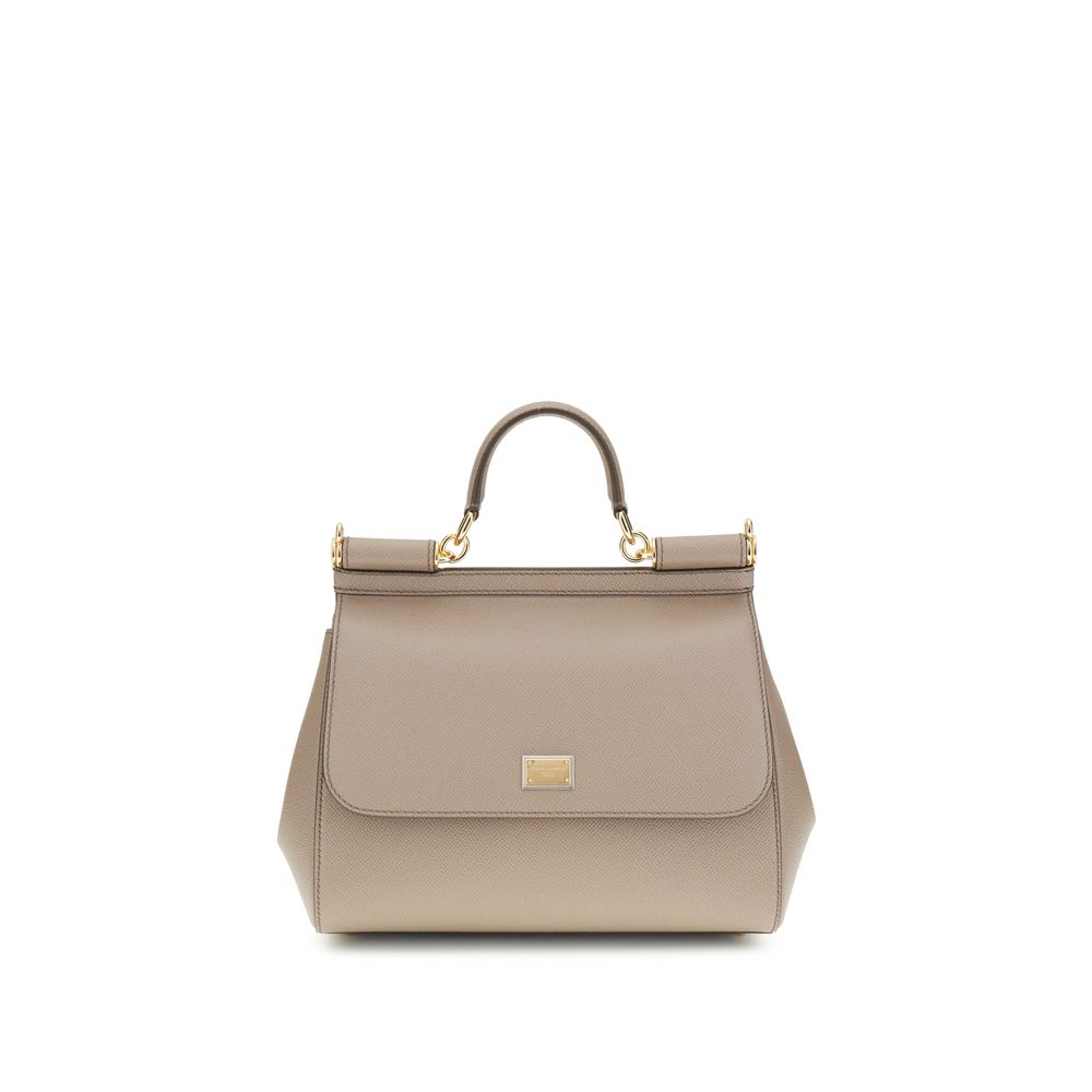 Dolce & Gabbana Gray Calf Leather Bos Taurus Handbag