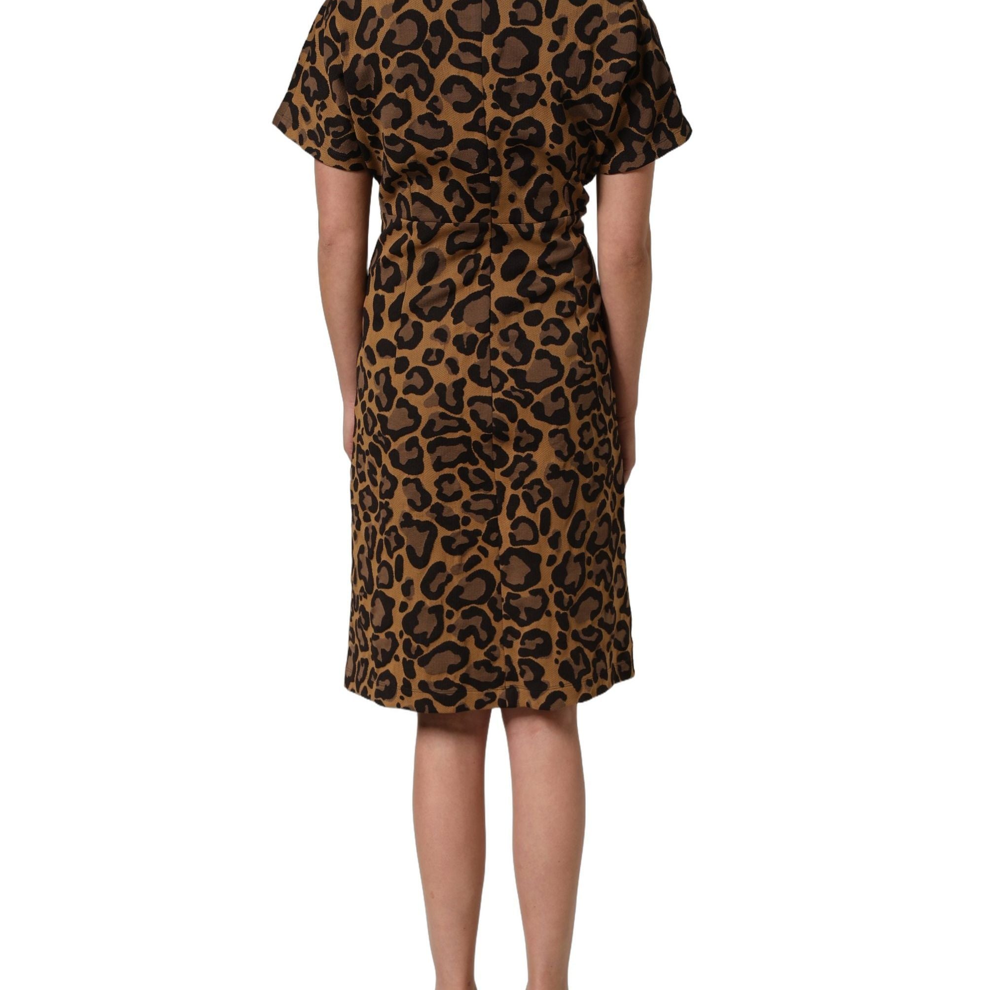 Dolce & Gabbana Brown LeopardPrint Flared A-line Mini Dress