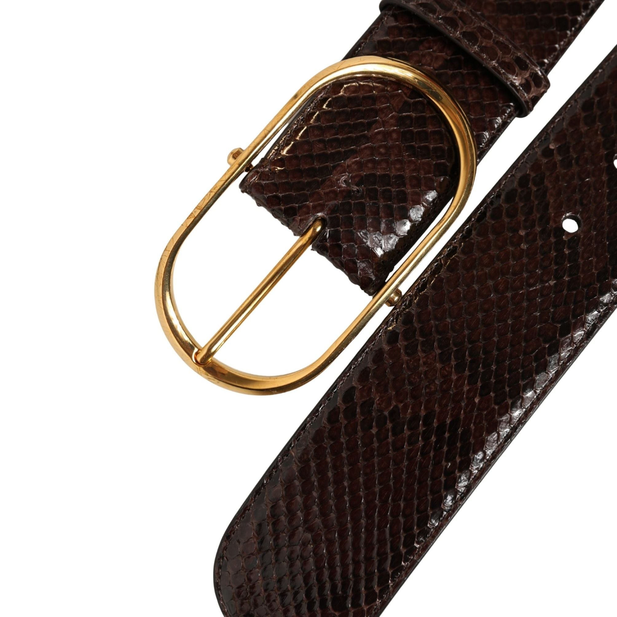 Dolce & Gabbana Brown Python Leather Gold Metal Buckle Belt