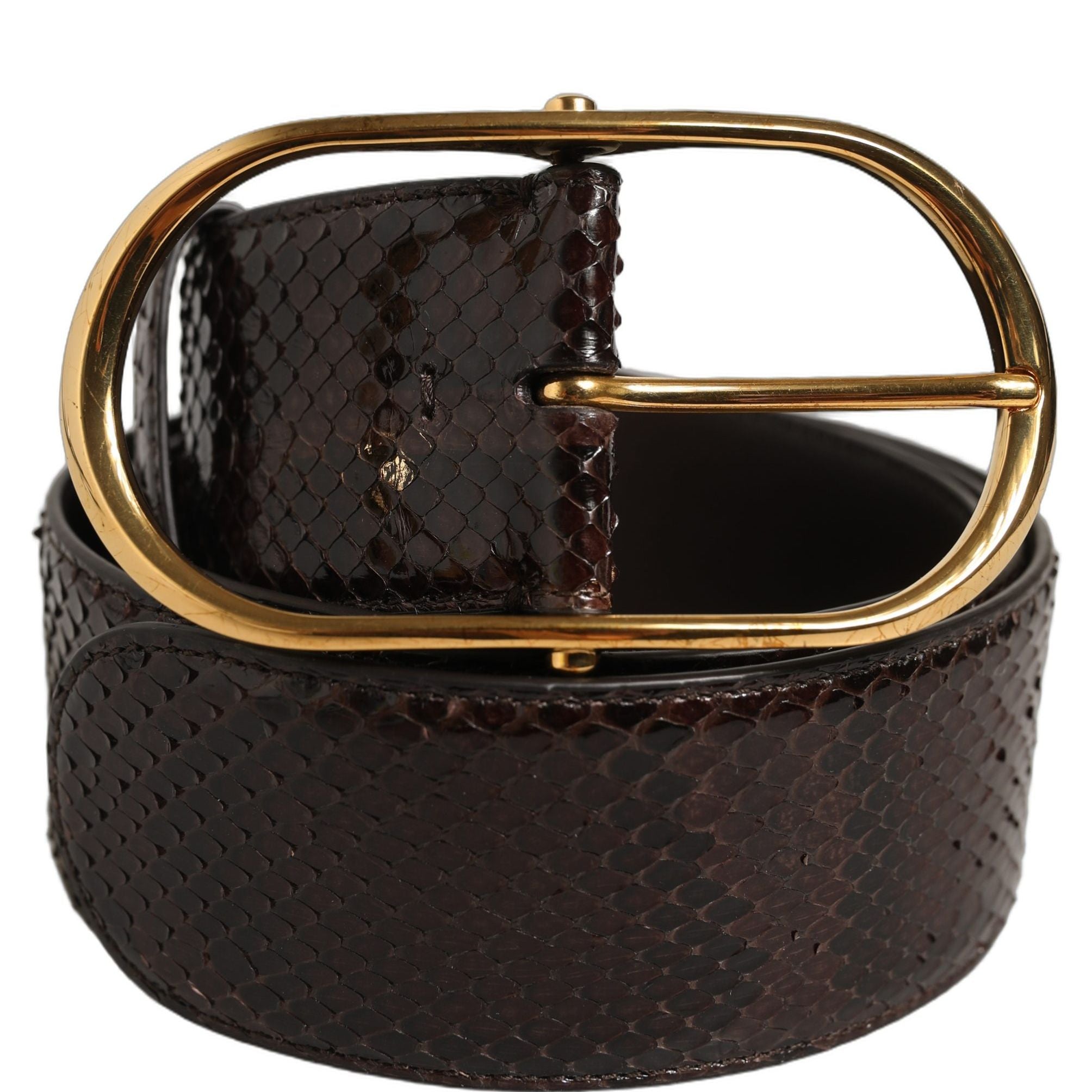 Dolce & Gabbana Brown Python Leather Gold Metal Buckle Belt