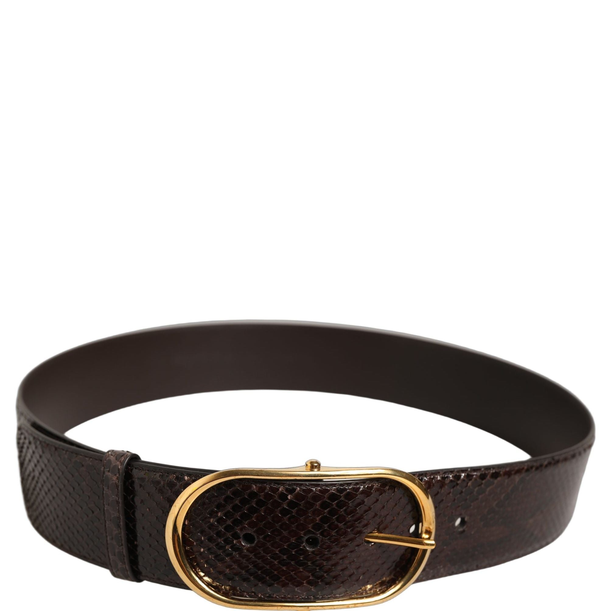 Dolce & Gabbana Brown Python Leather Gold Metal Buckle Belt