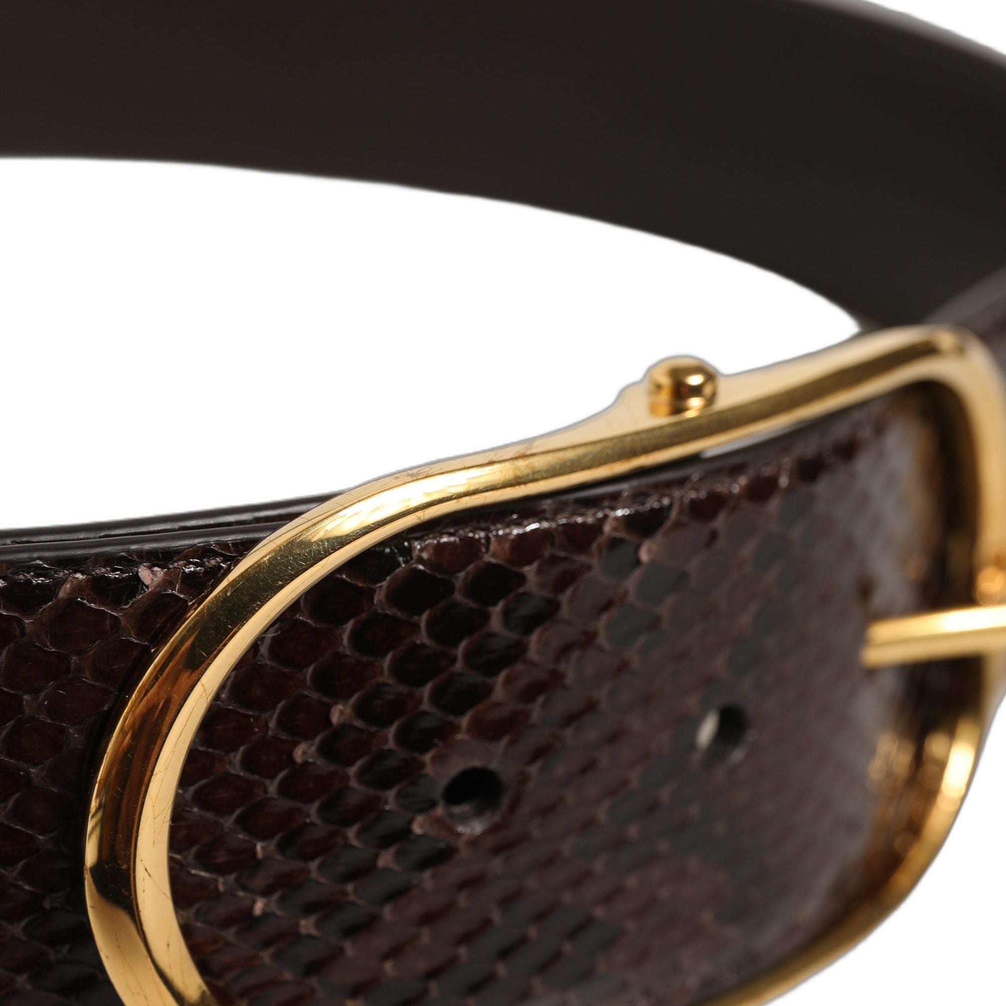 Dolce & Gabbana Brown Python Leather Gold Metal Buckle Belt