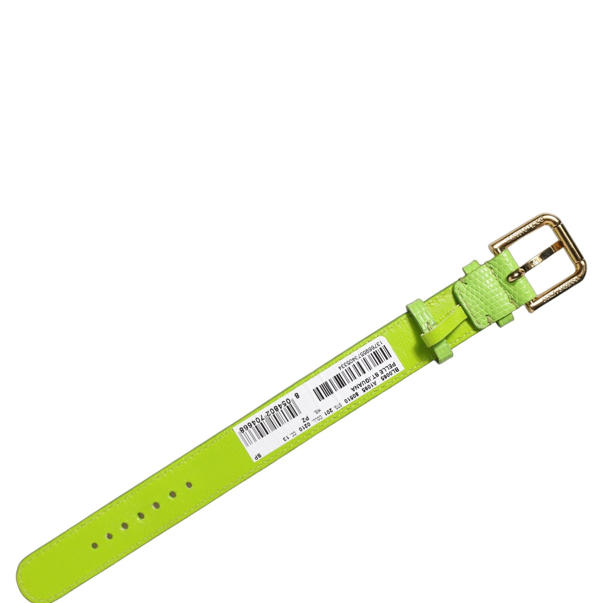 Dolce & Gabbana Green Textured Leather Gold Buckle Belt Strap Bracelet