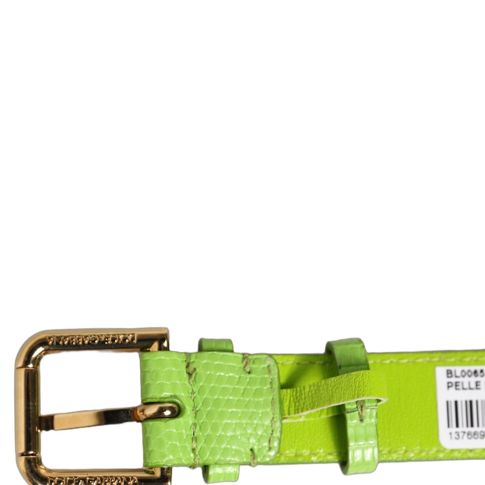 Dolce & Gabbana Green Textured Leather Gold Buckle Belt Strap Bracelet