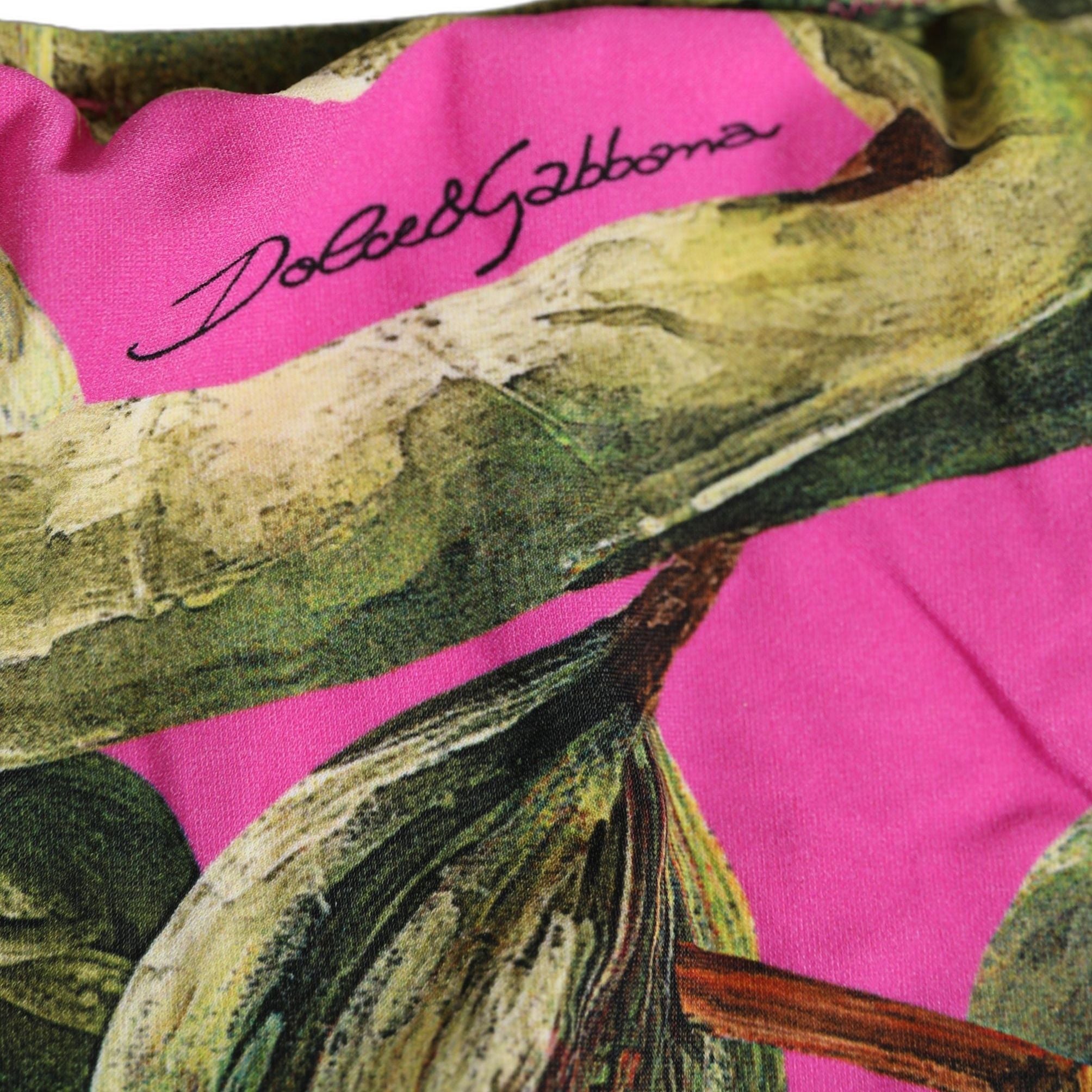 Dolce & Gabbana Fuchsia Pink Fig Print Beachwear Bikini Bottom