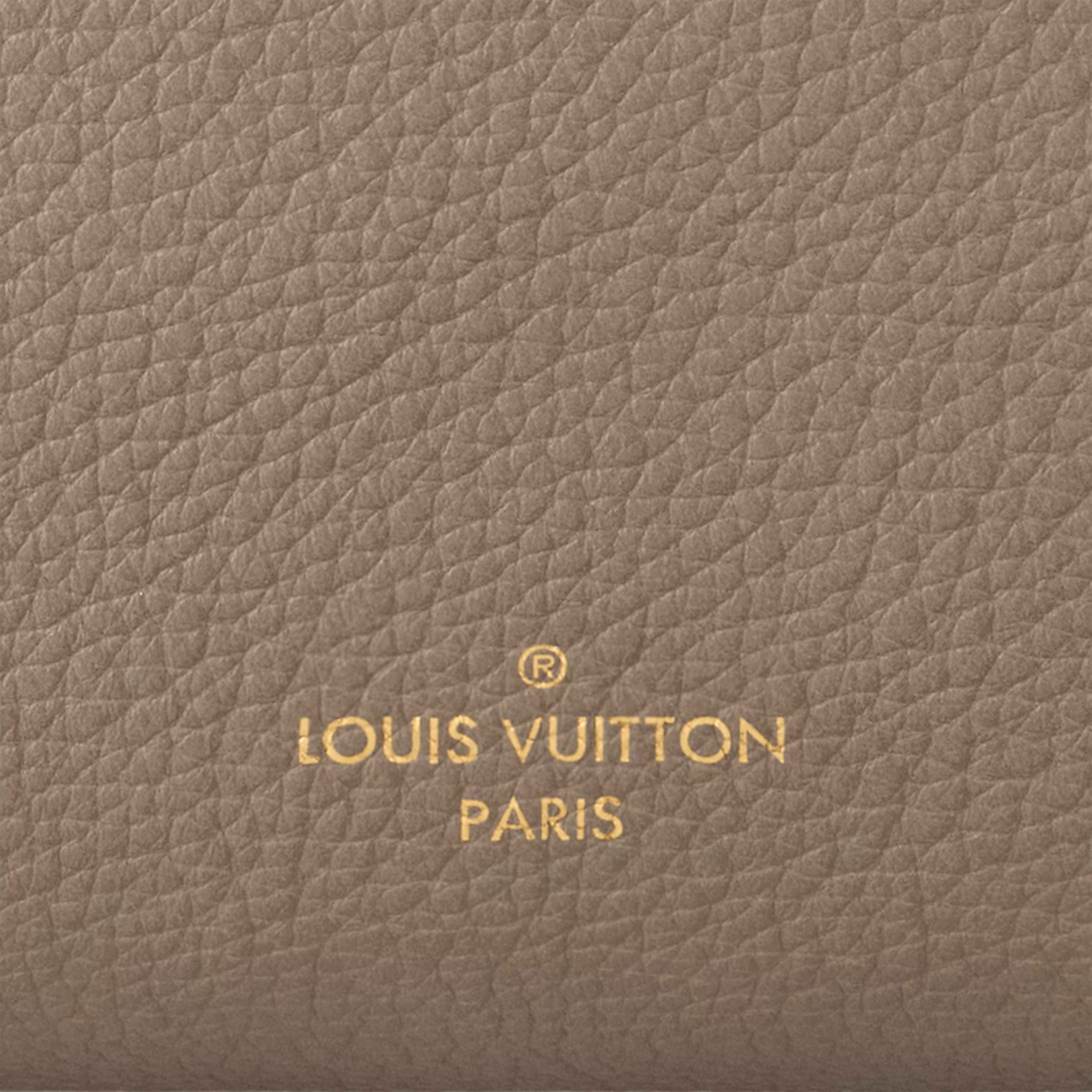 Louis Vuitton Side Trunk MM Bag