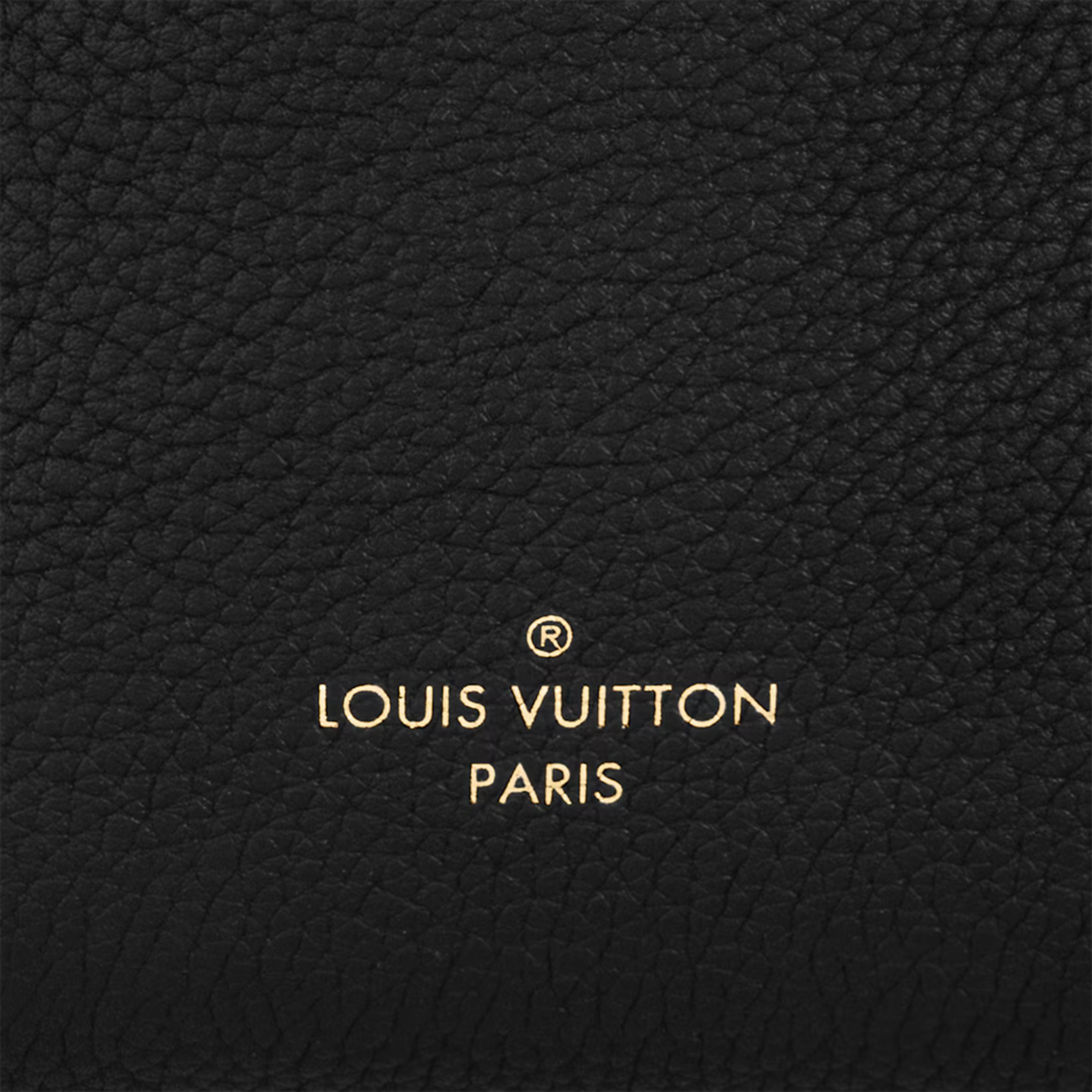 Louis Vuitton Side Trunk PM Bag