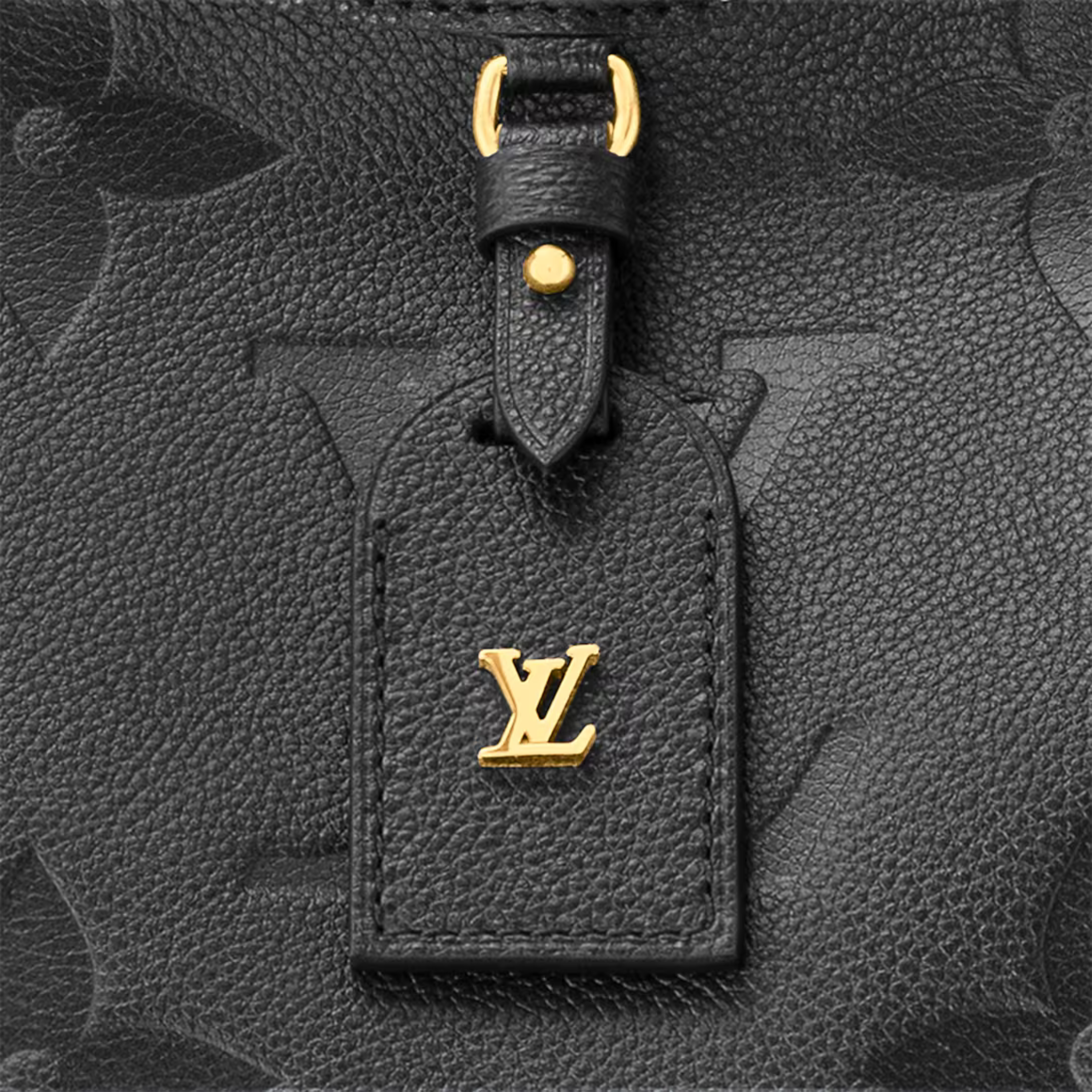 Louis Vuitton CarryAll MM Bag