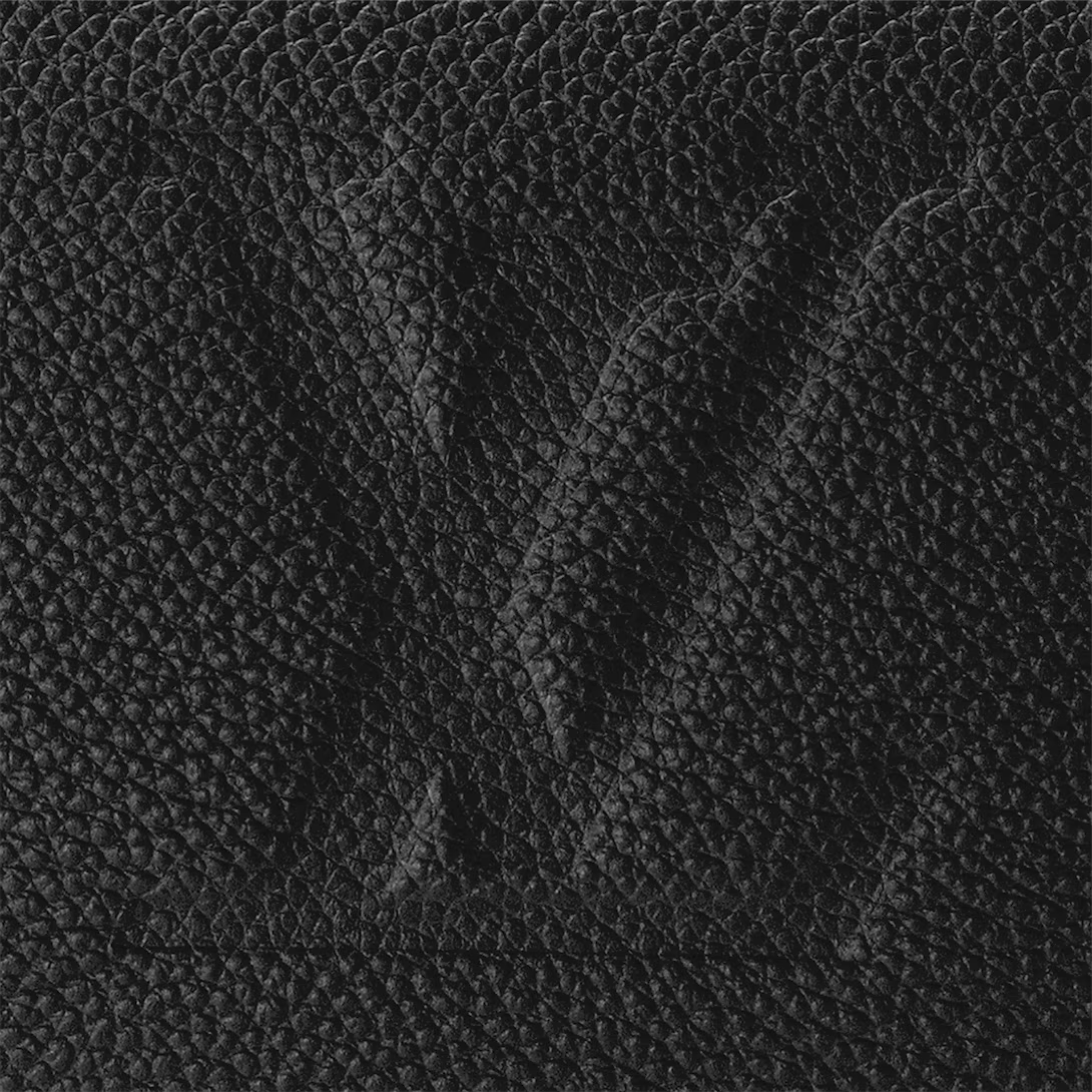 Louis Vuitton Speedy Bandoulière 25 Bag
