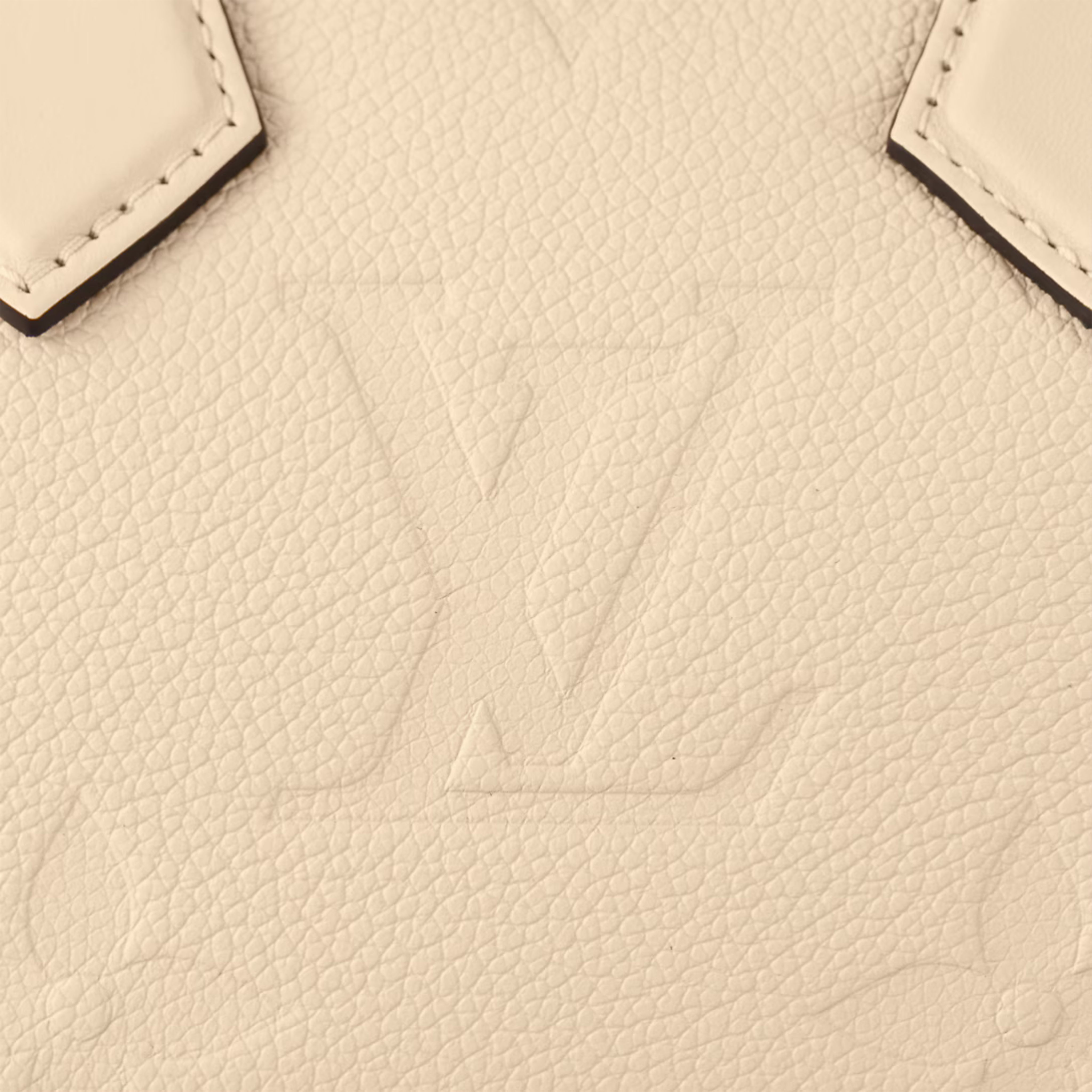 Louis Vuitton Speedy Bandoulière 20 Bag