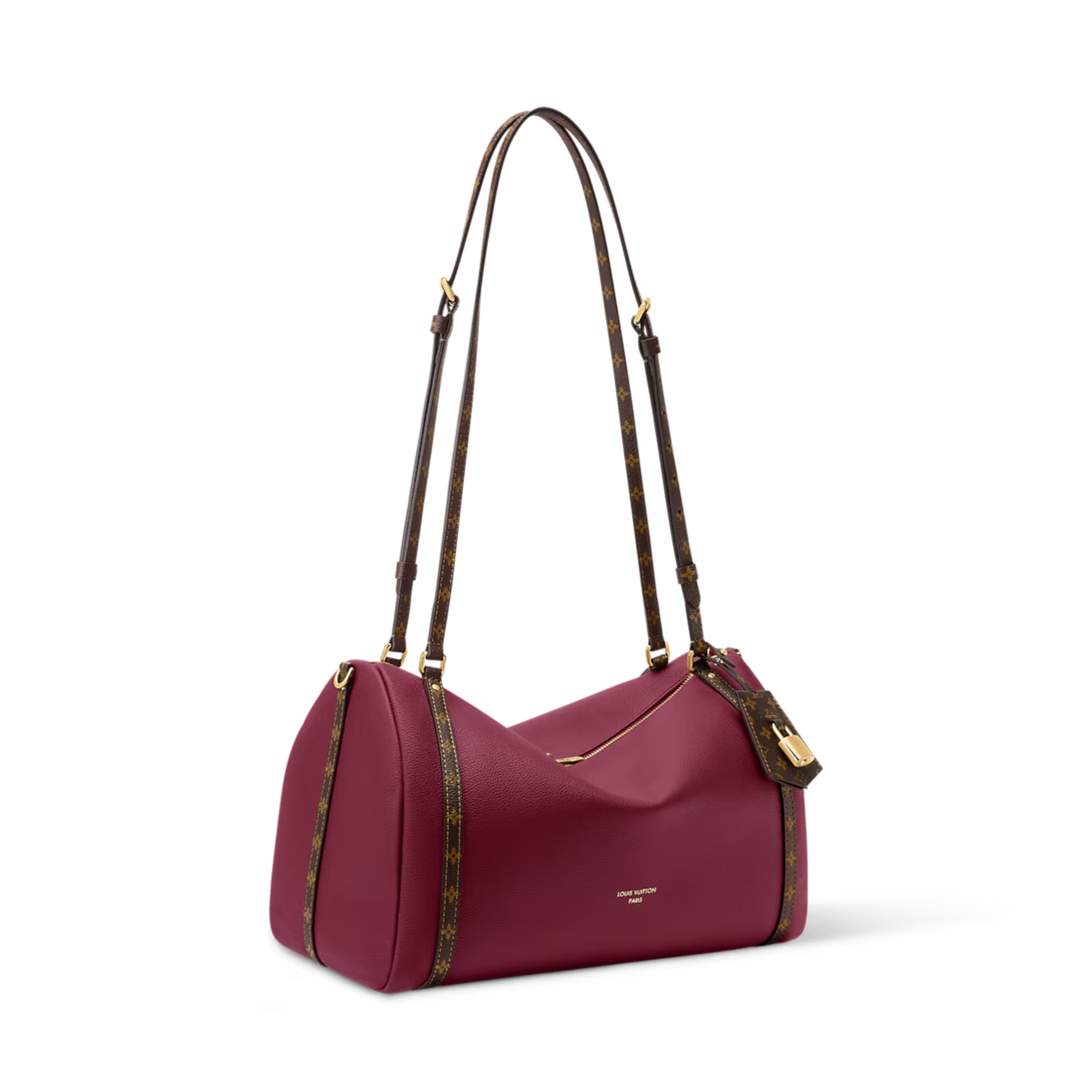 Louis Vuitton Express MM Bag