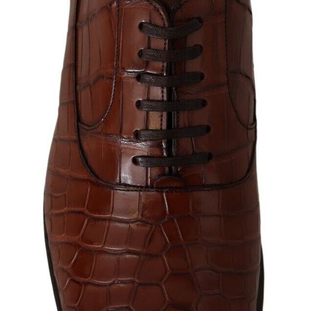 Dolce & Gabbana Brown Crocodile Leather Mens Formal Derby Shoes