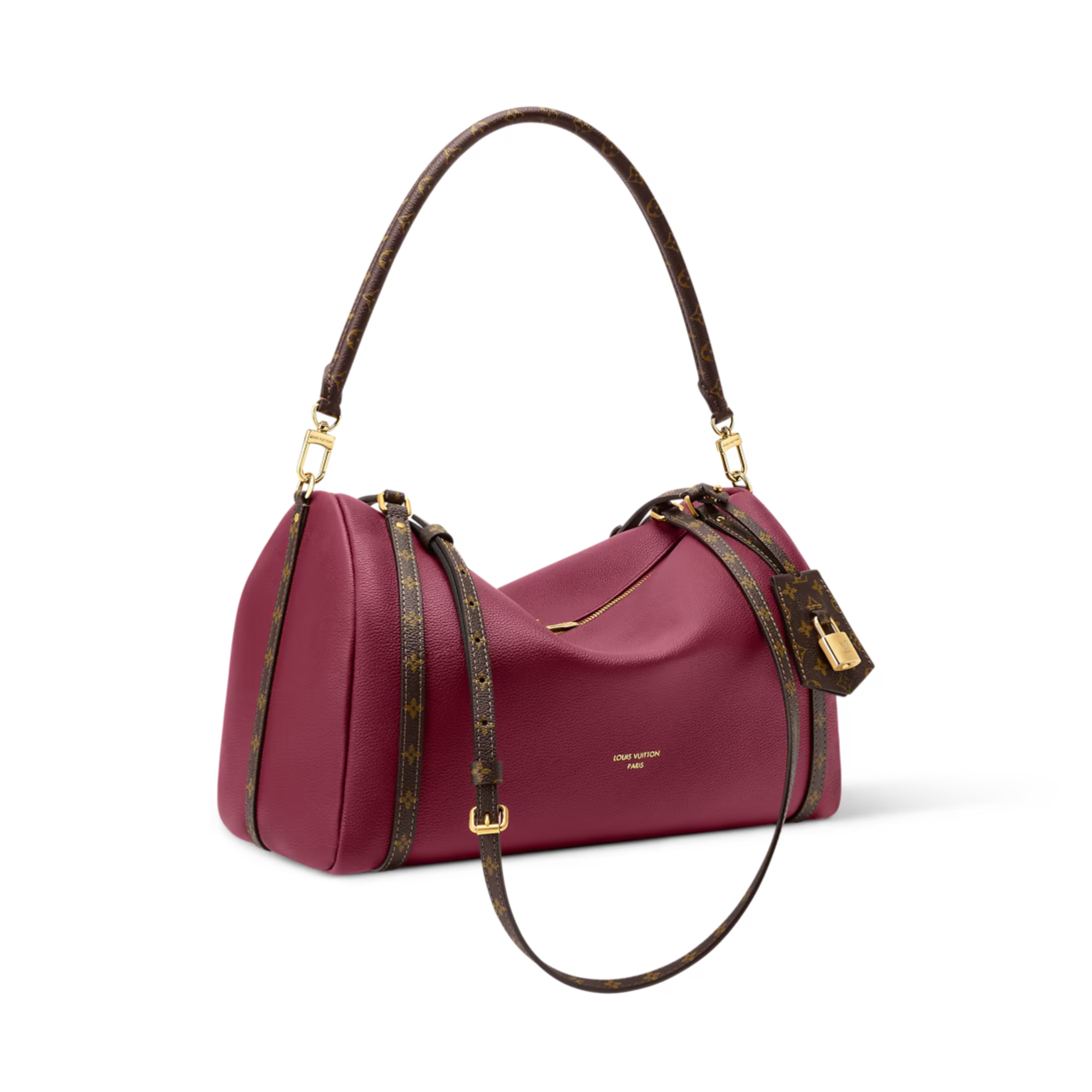 Louis Vuitton Express MM Bag