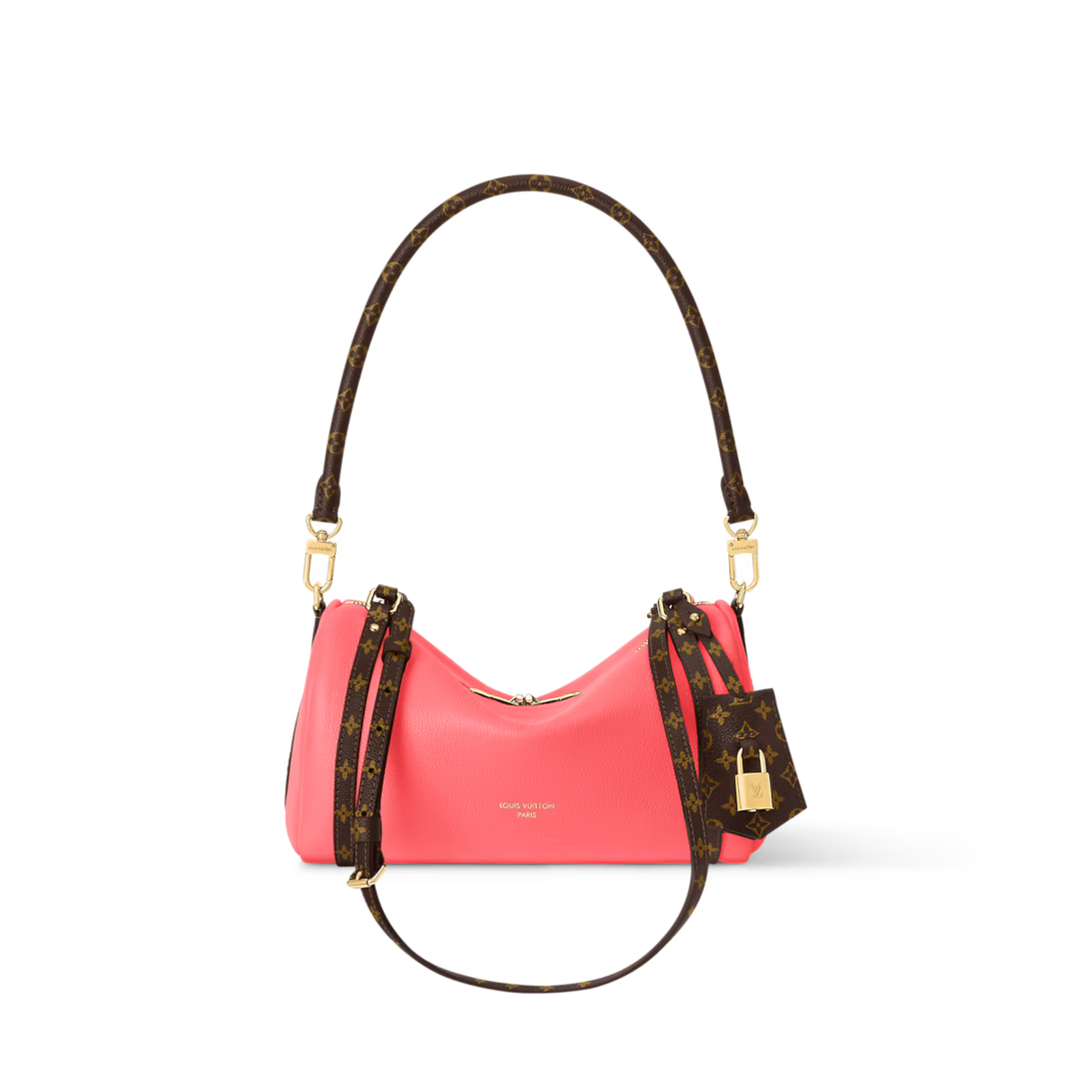 Louis Vuitton Express PM Bag