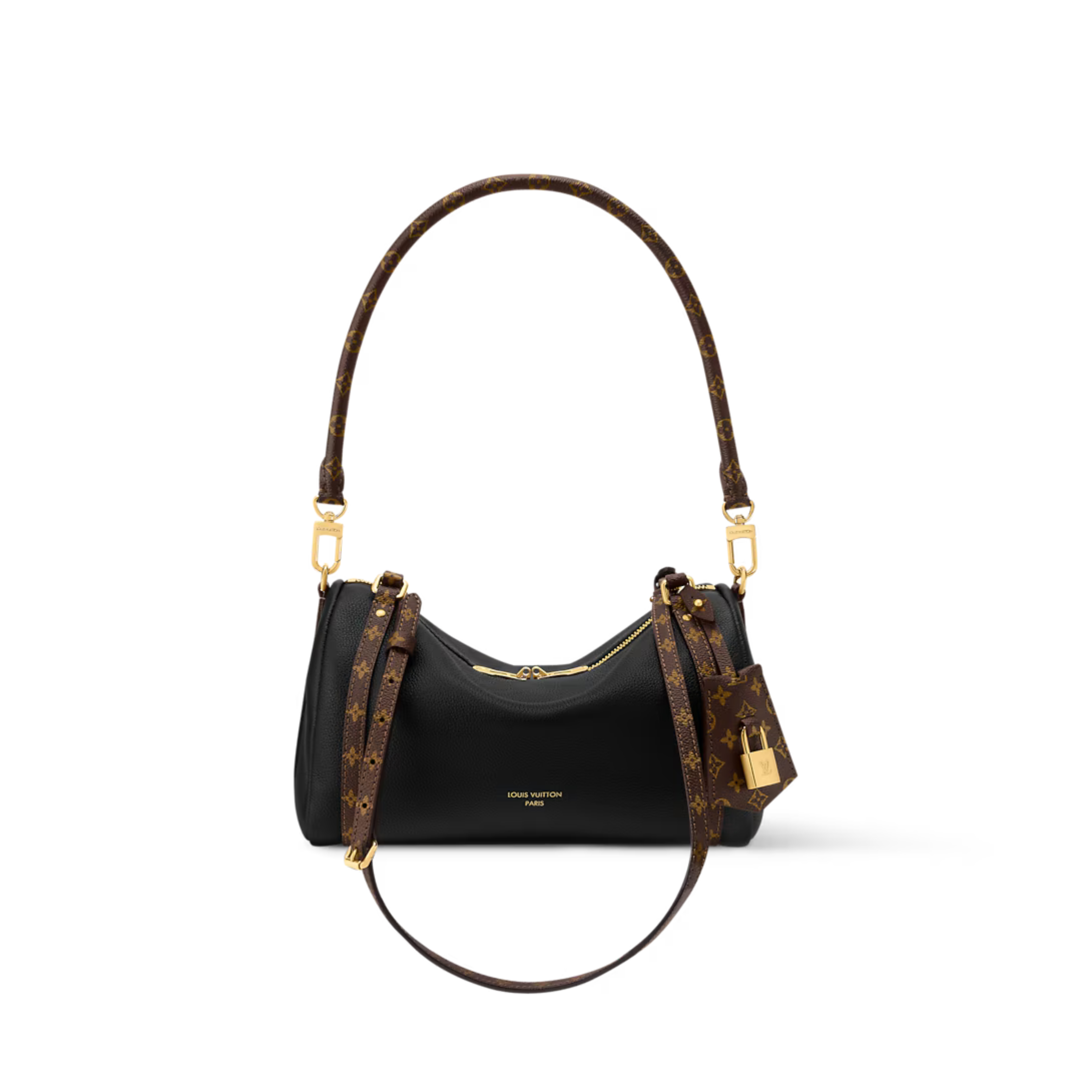 Louis Vuitton Express PM Bag