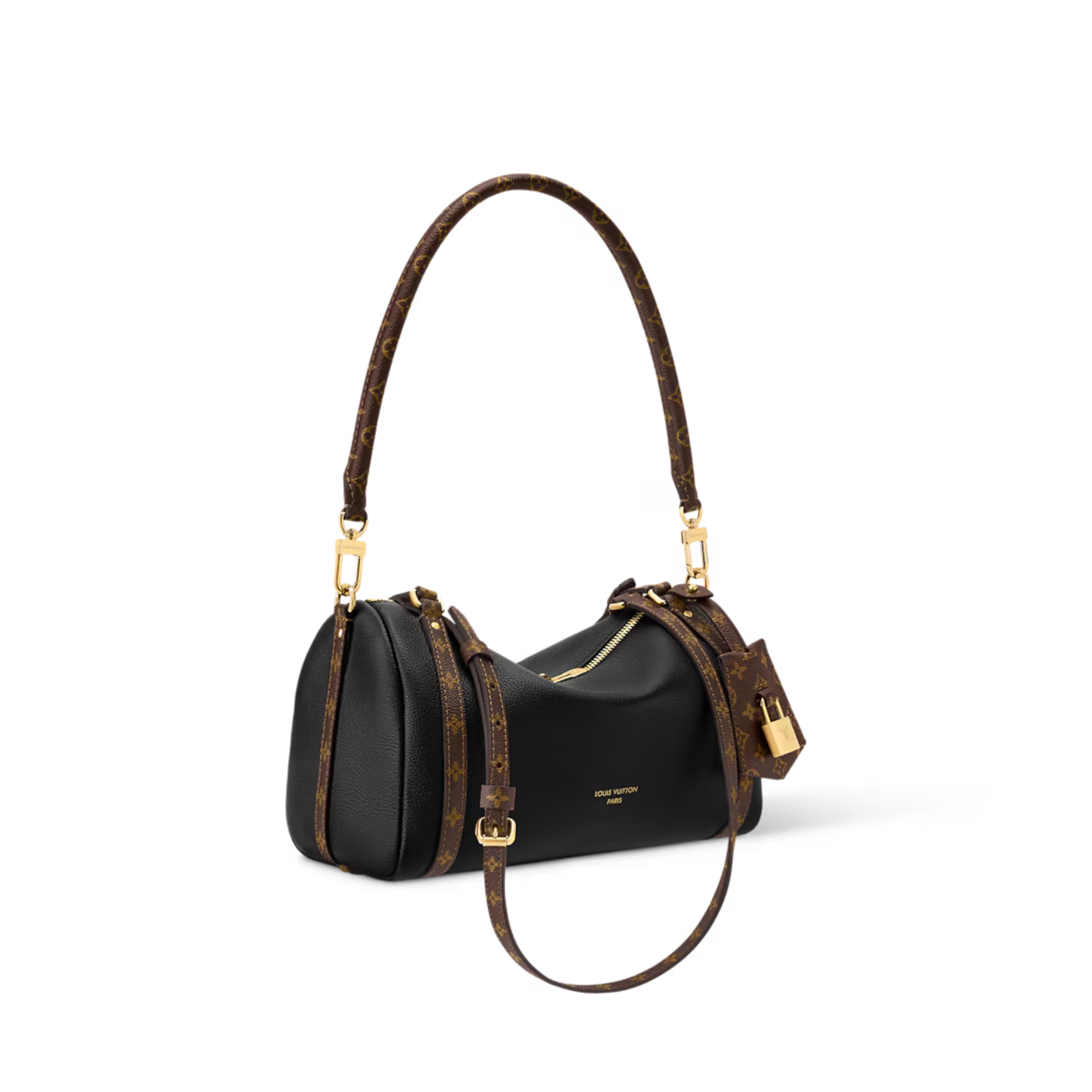 Louis Vuitton Express PM Bag