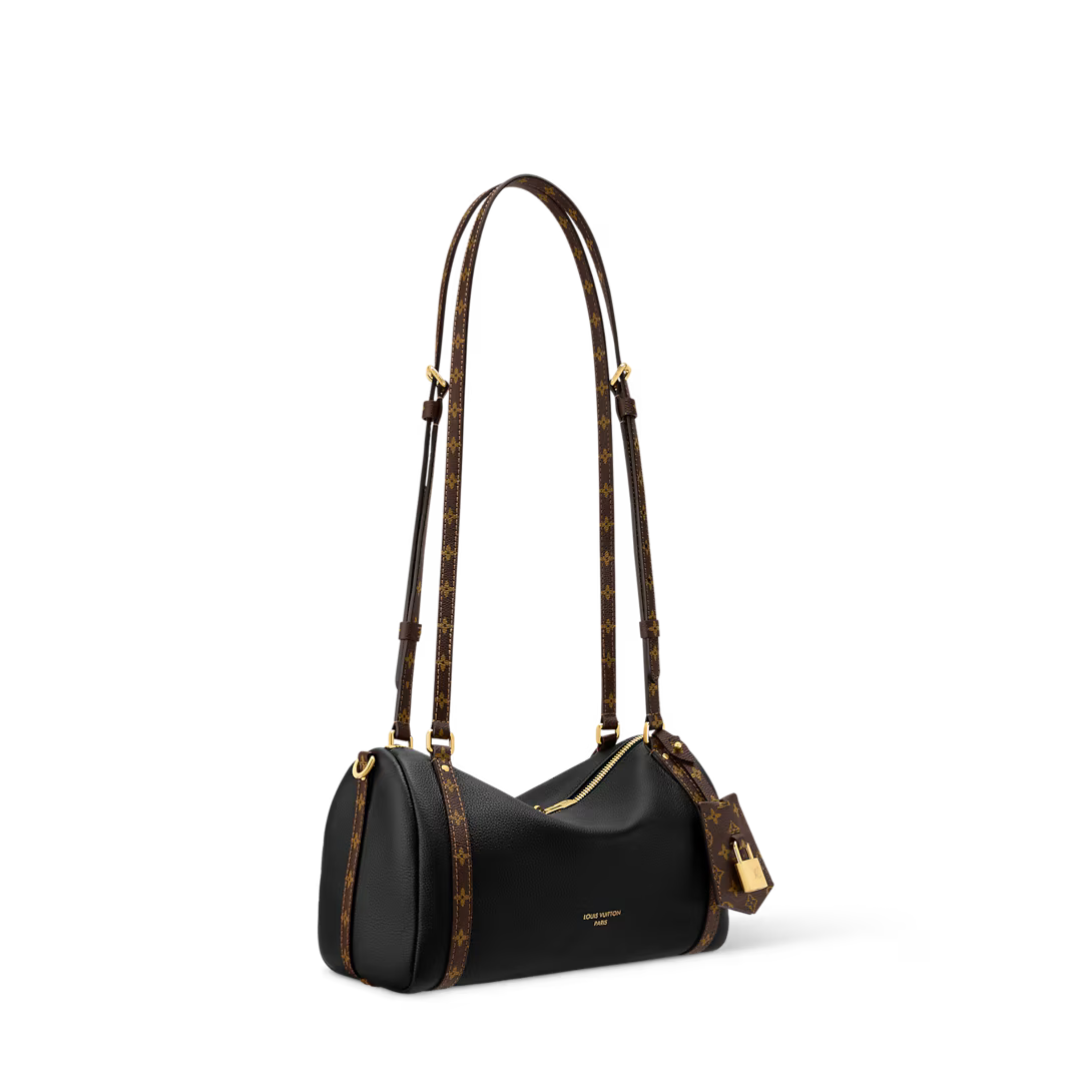 Louis Vuitton Express PM Bag