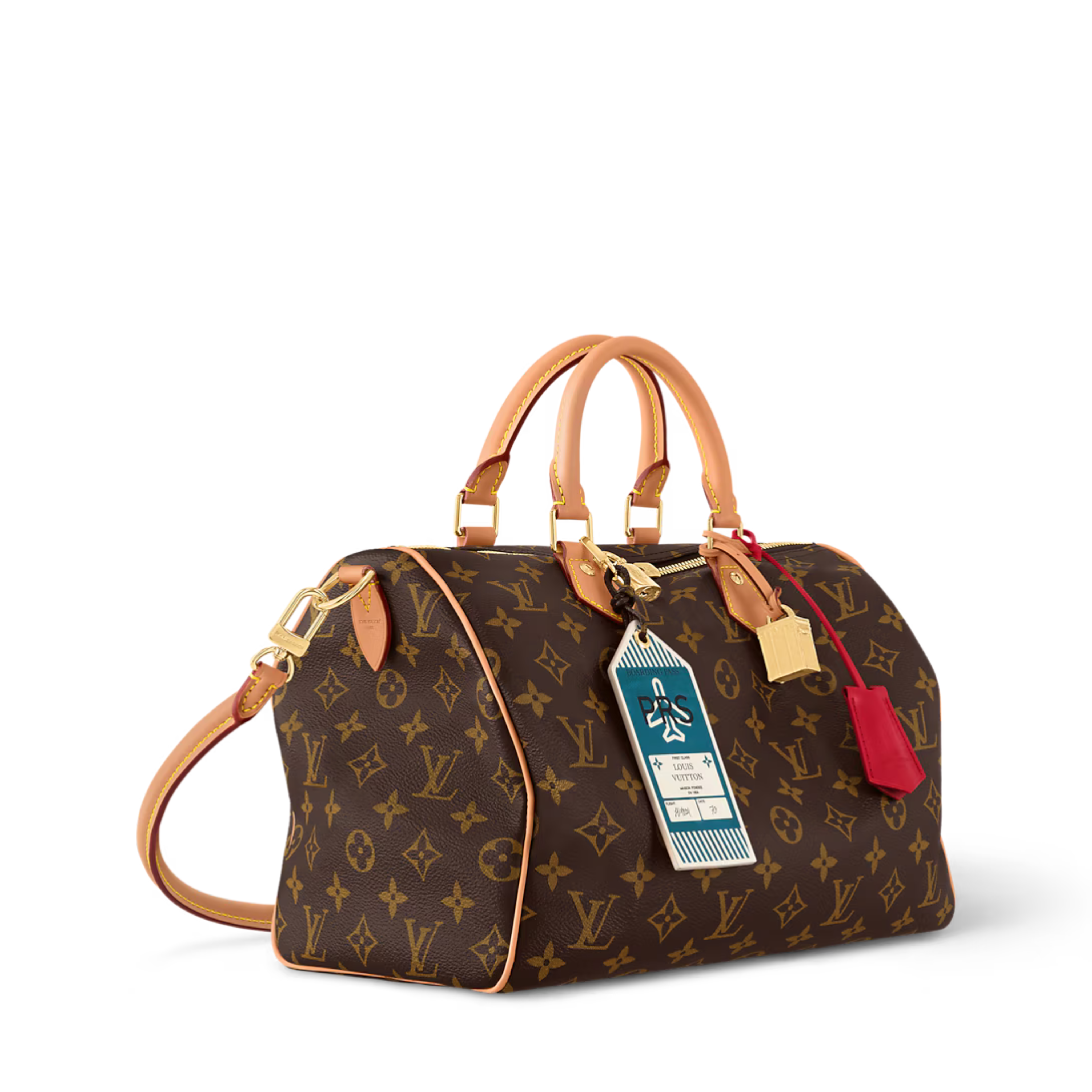 Louis Vuitton Speedy Soft 30 Crafty Bag
