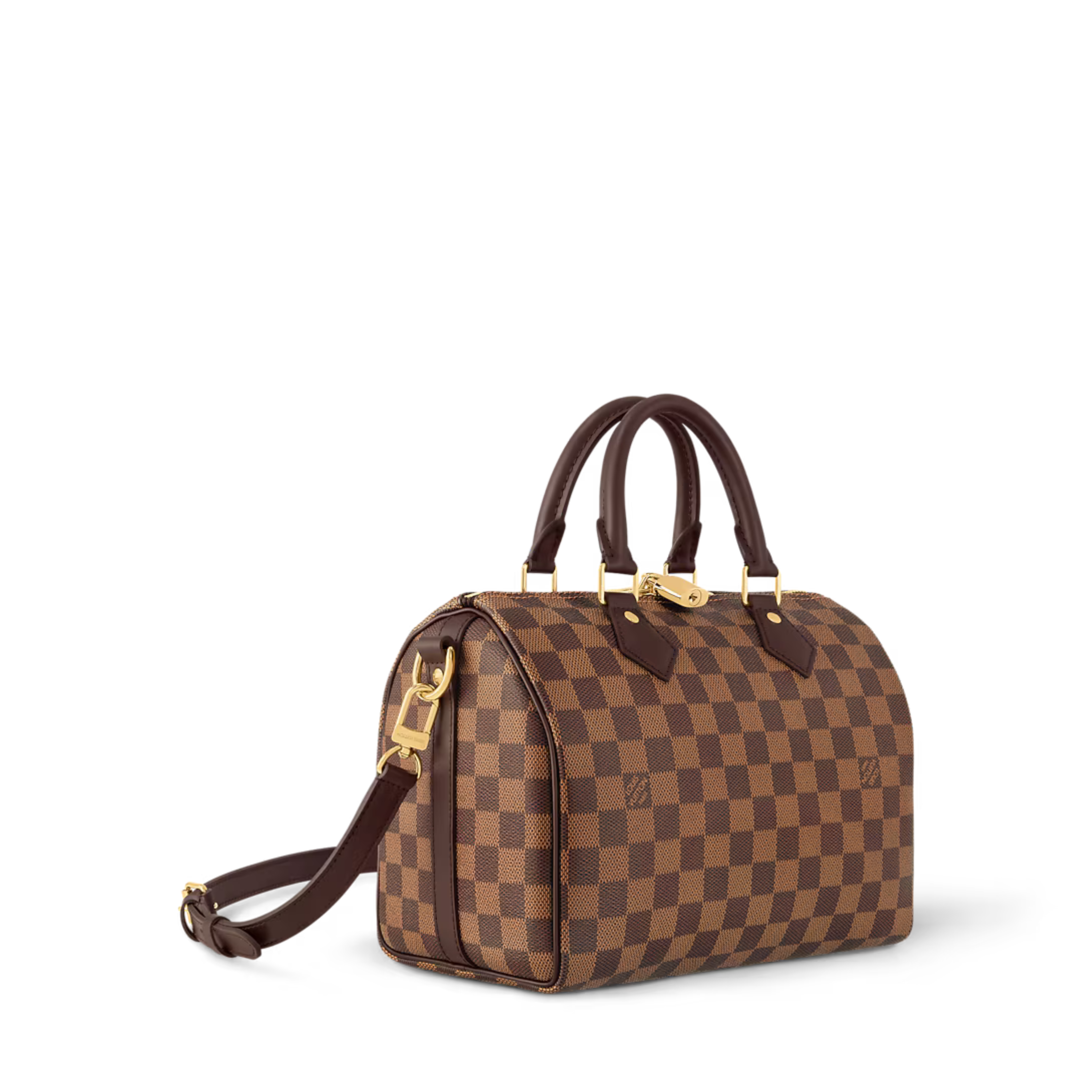 Louis Vuitton Speedy Bandoulière 25 Bag