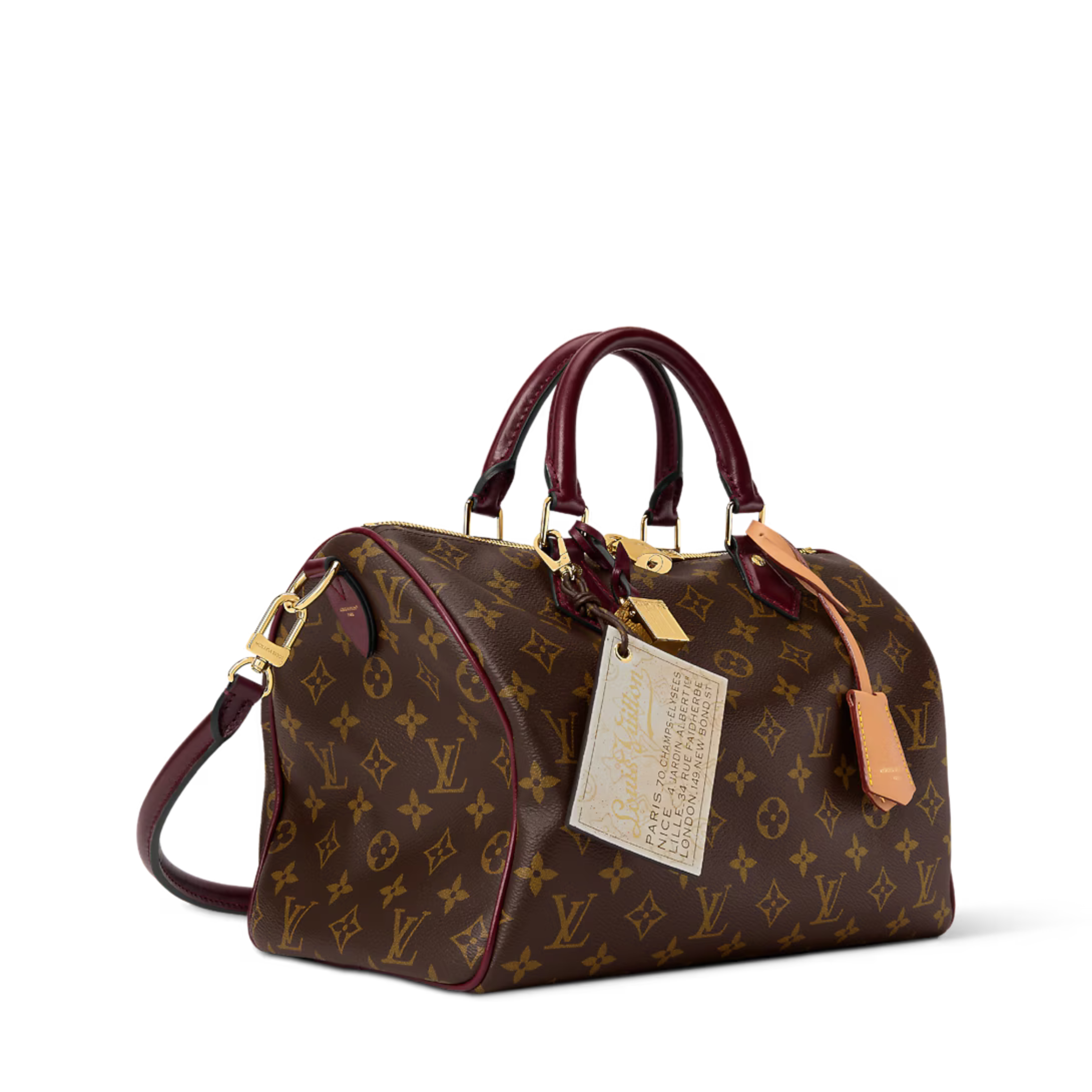 Louis Vuitton Speedy Soft 30 Celebration Bag