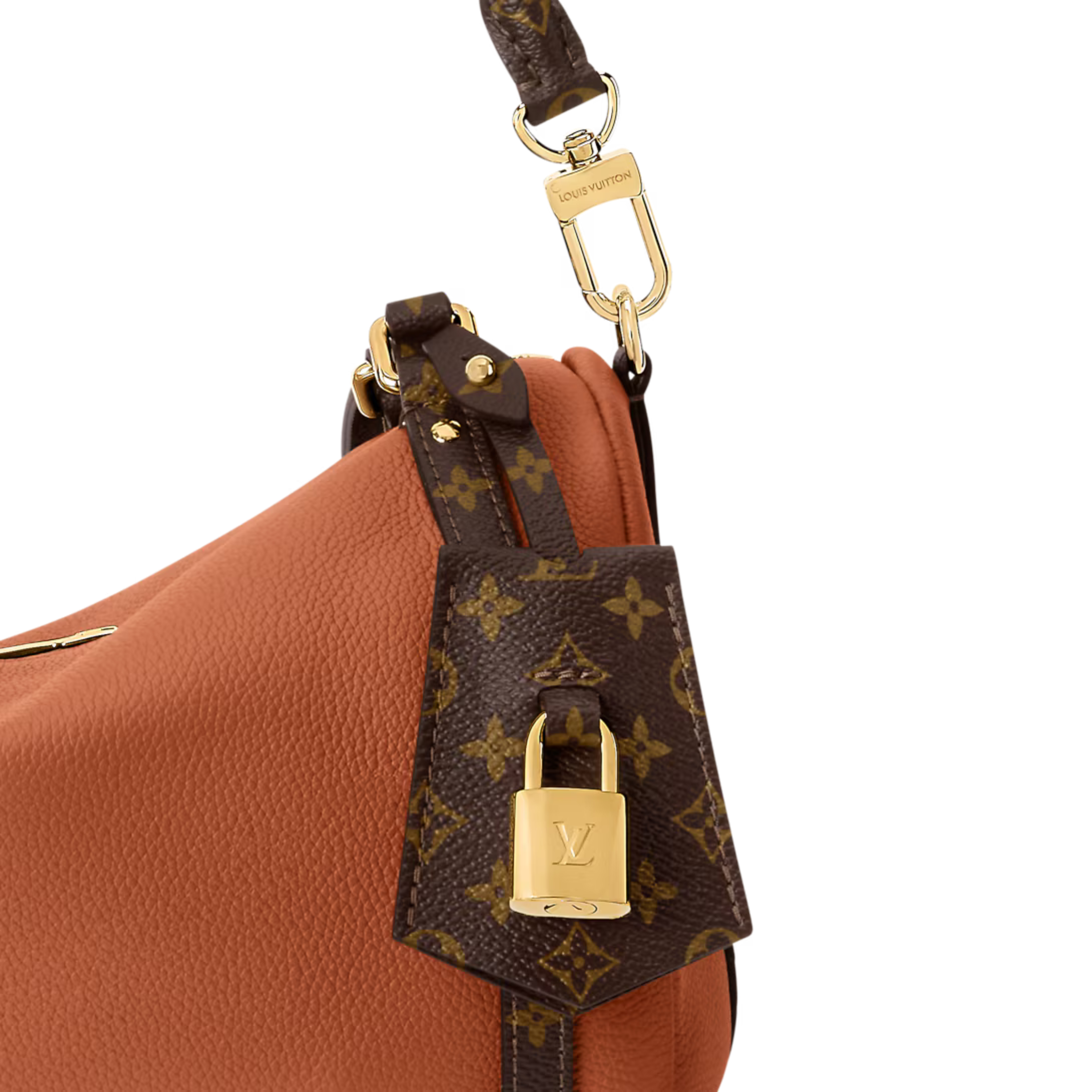 Louis Vuitton Express PM Bag