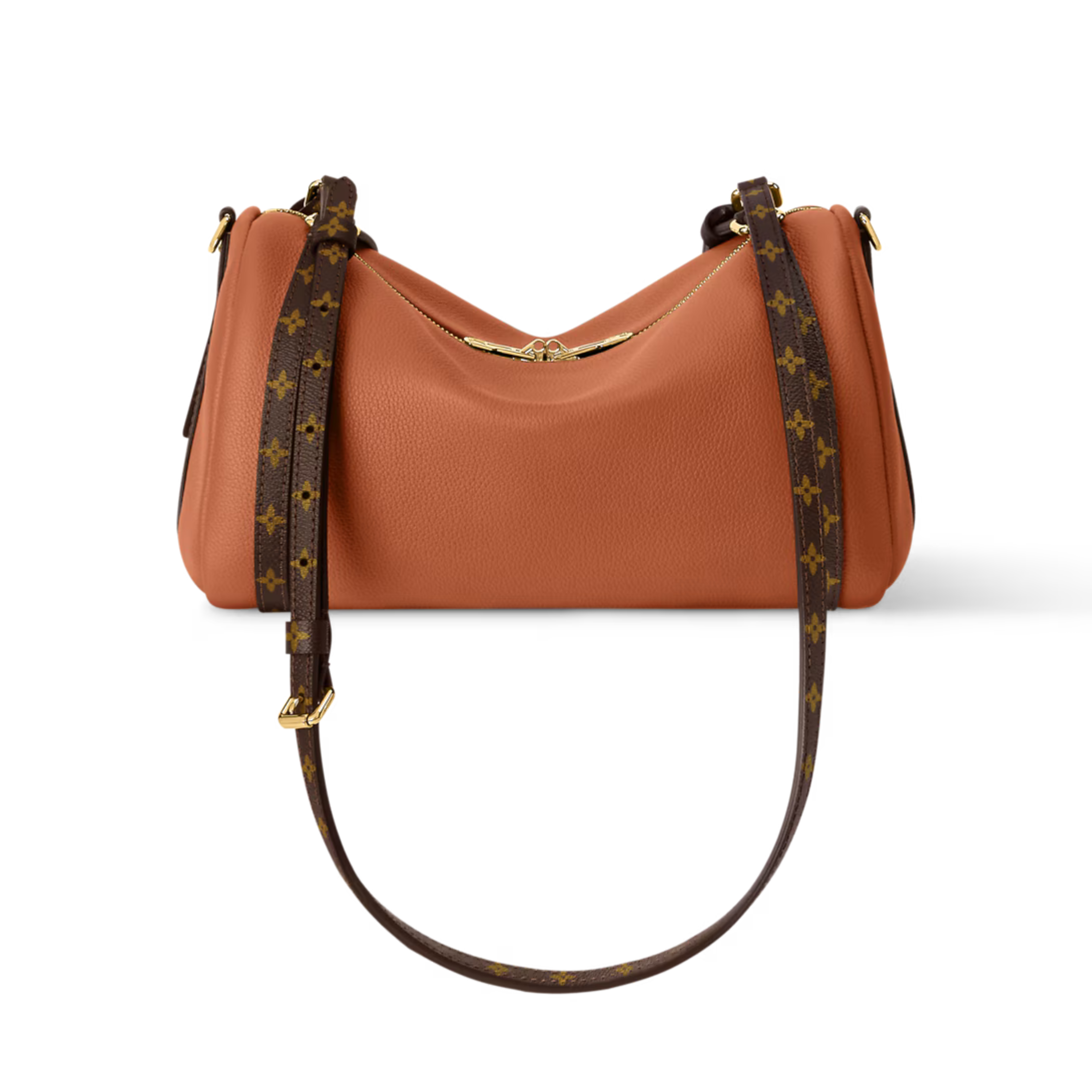 Louis Vuitton Express PM Bag