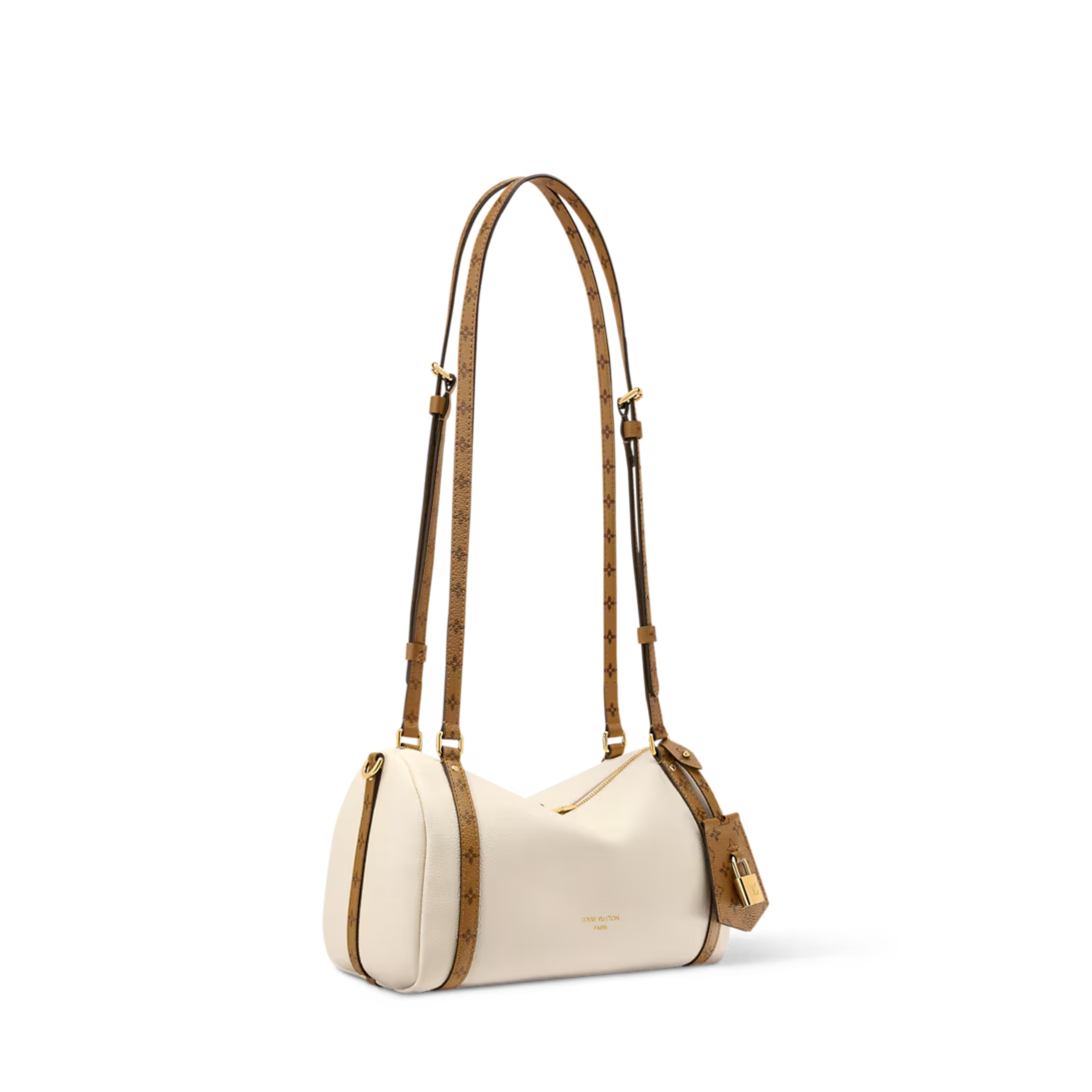 Louis Vuitton Express PM Bag