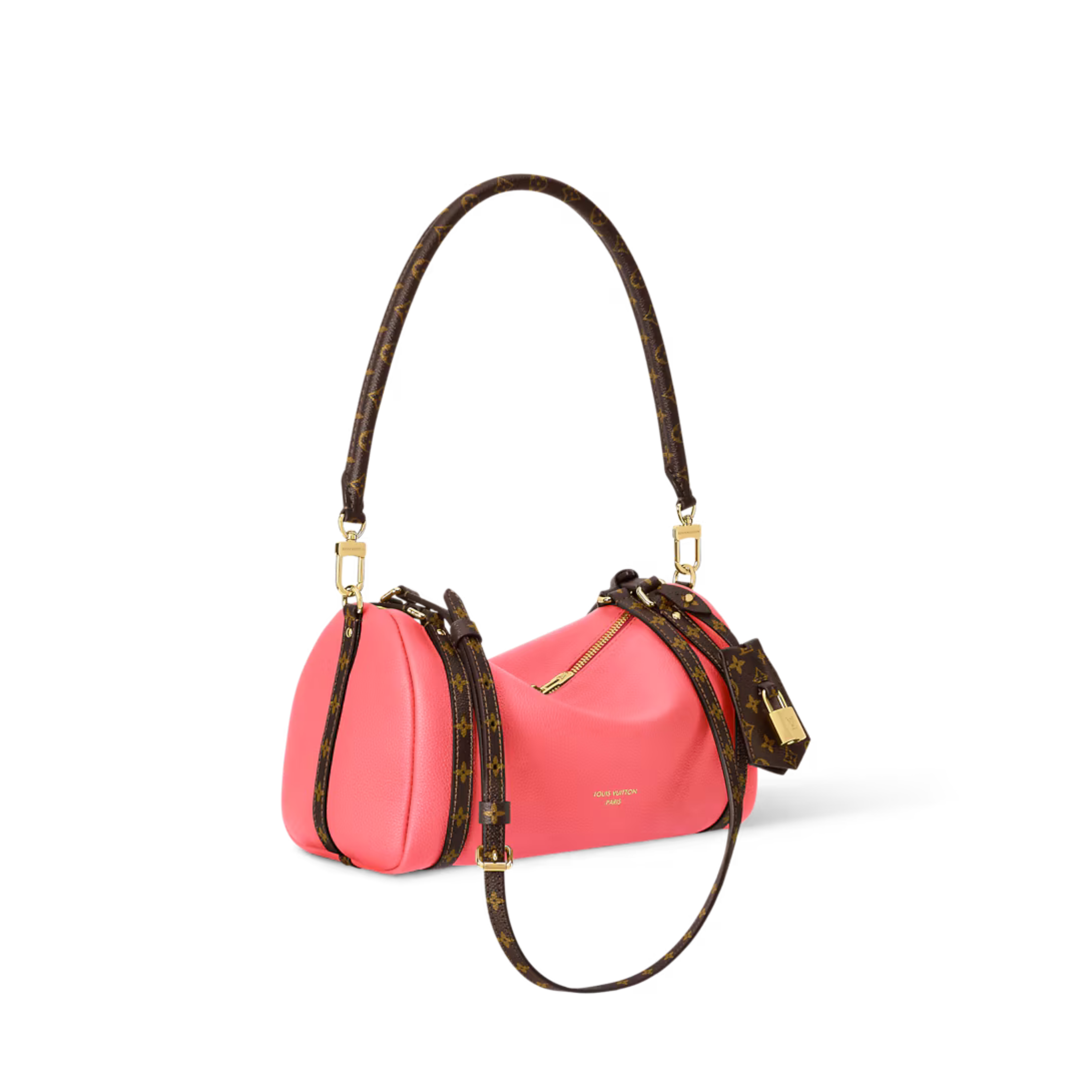 Louis Vuitton Express PM Bag
