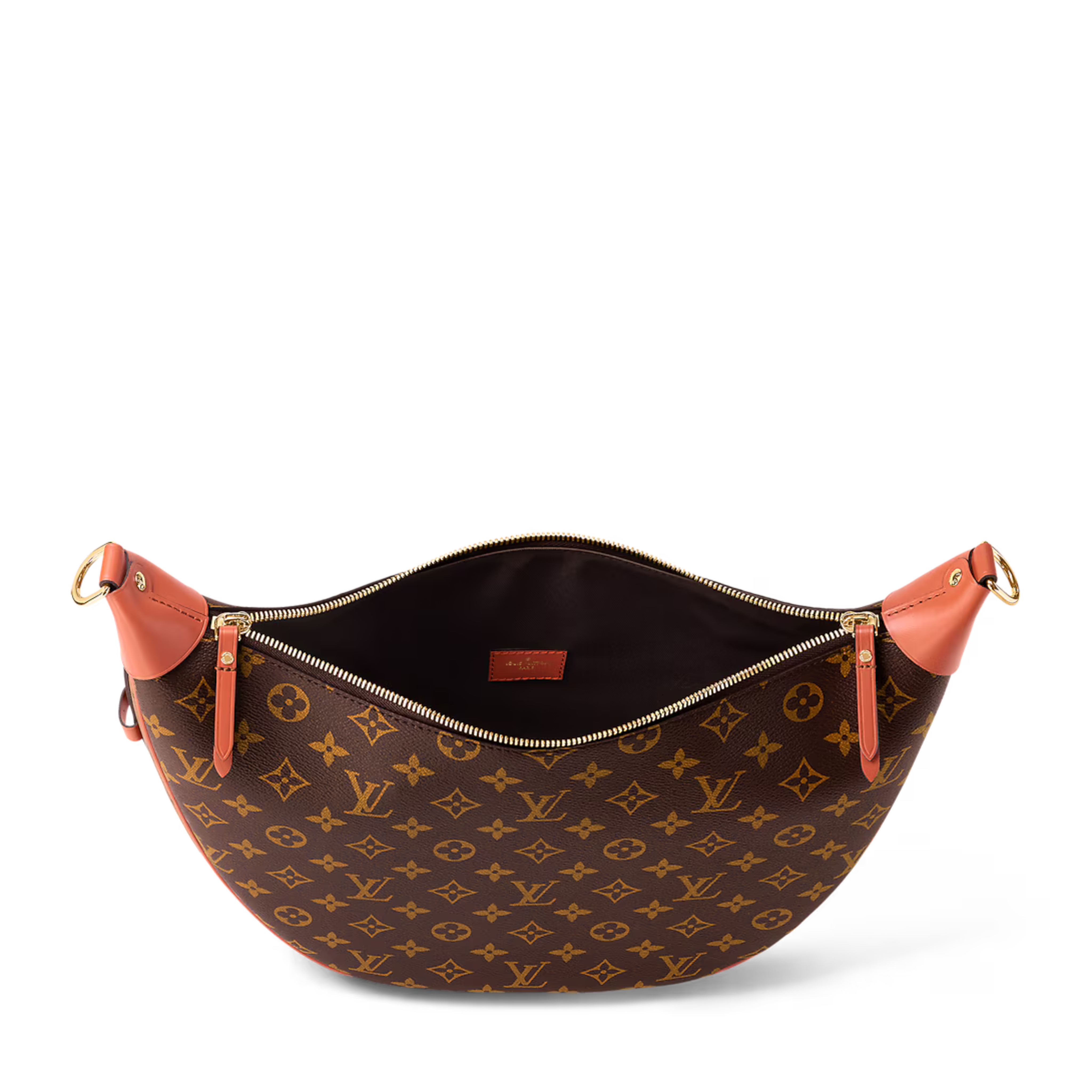 Louis Vuitton Loop Hobo Bag