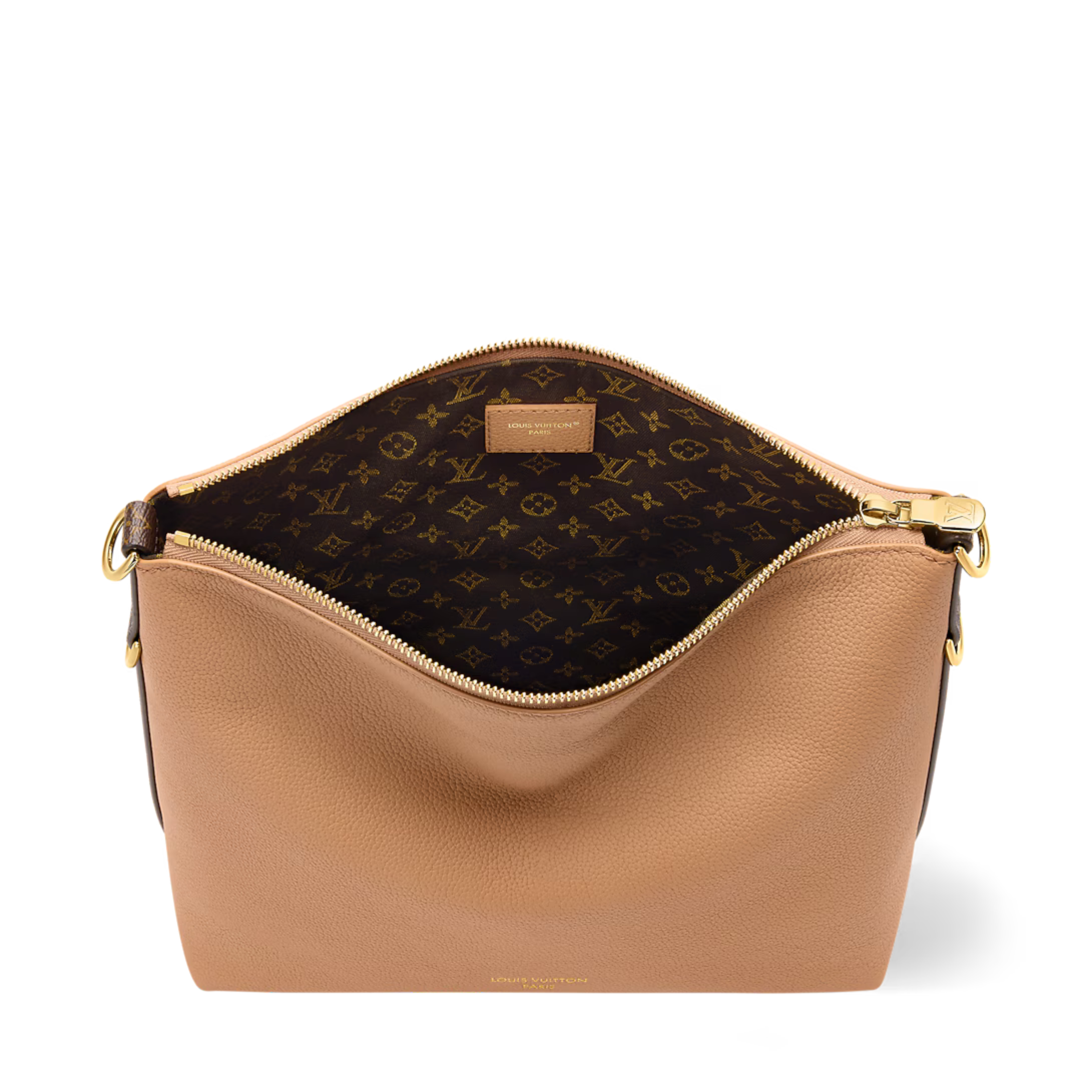Louis Vuitton Multipass Bag