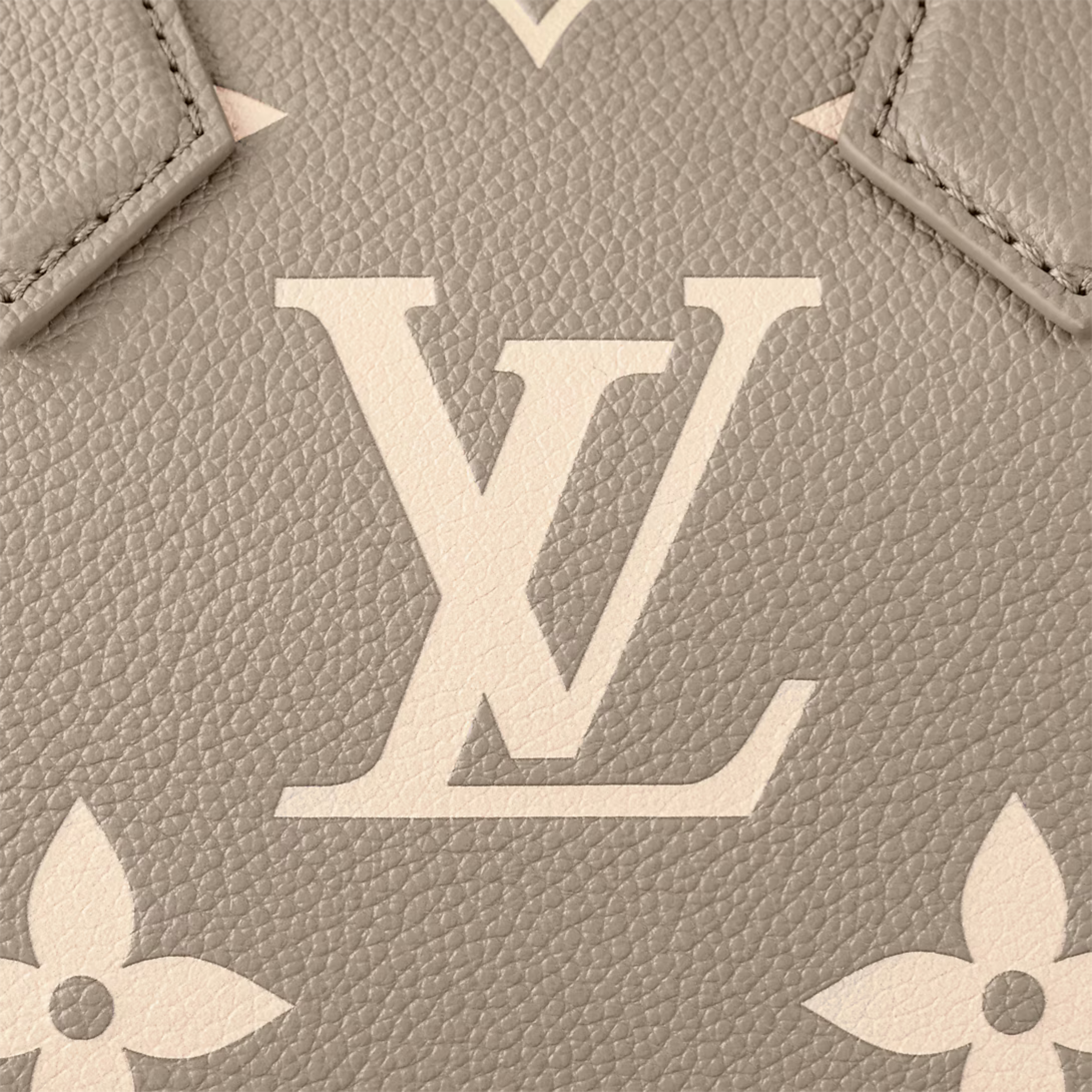 Louis Vuitton Speedy Bandoulière 20 Bag