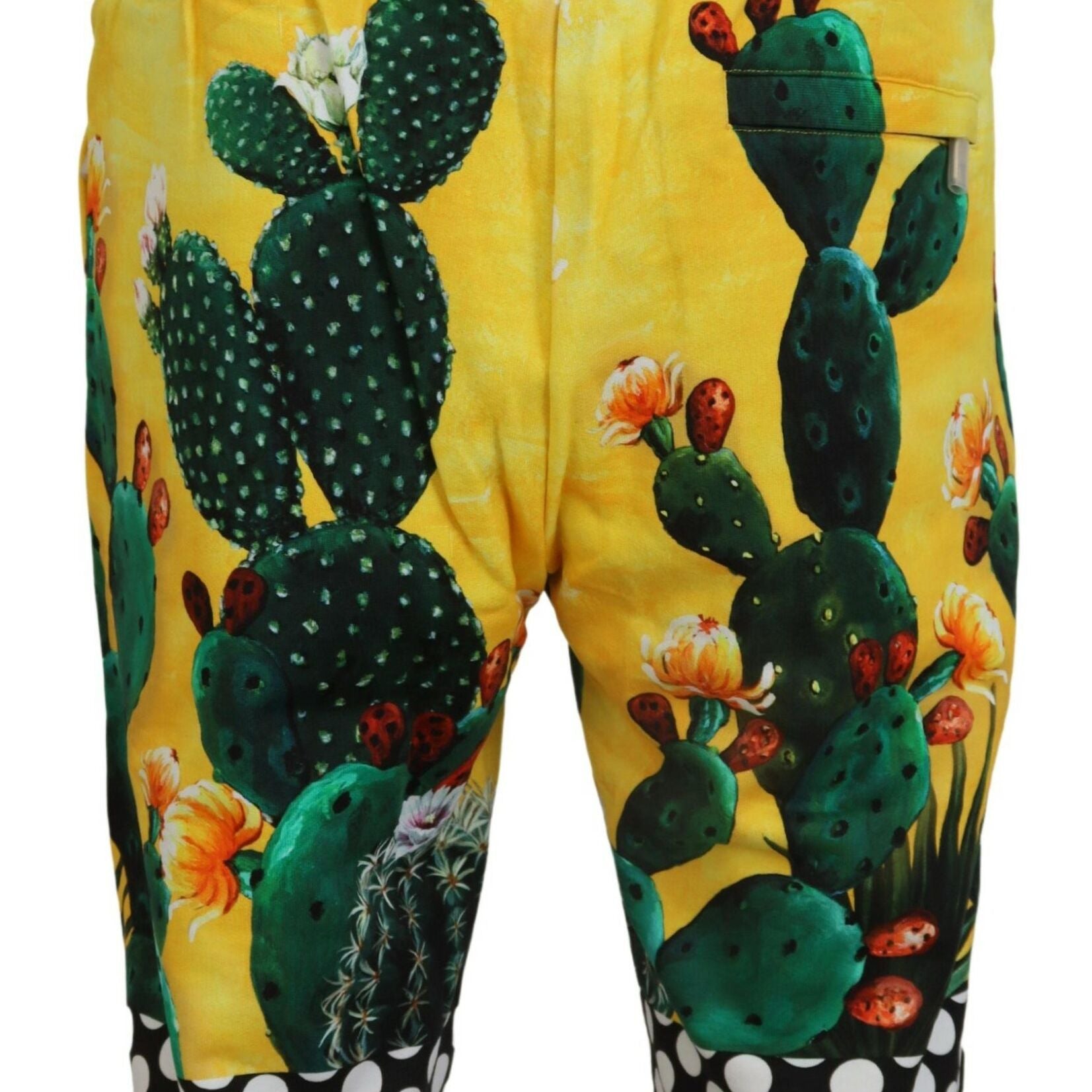 Dolce & Gabbana Multicolor Cactus Print Cotton Sweat Shorts