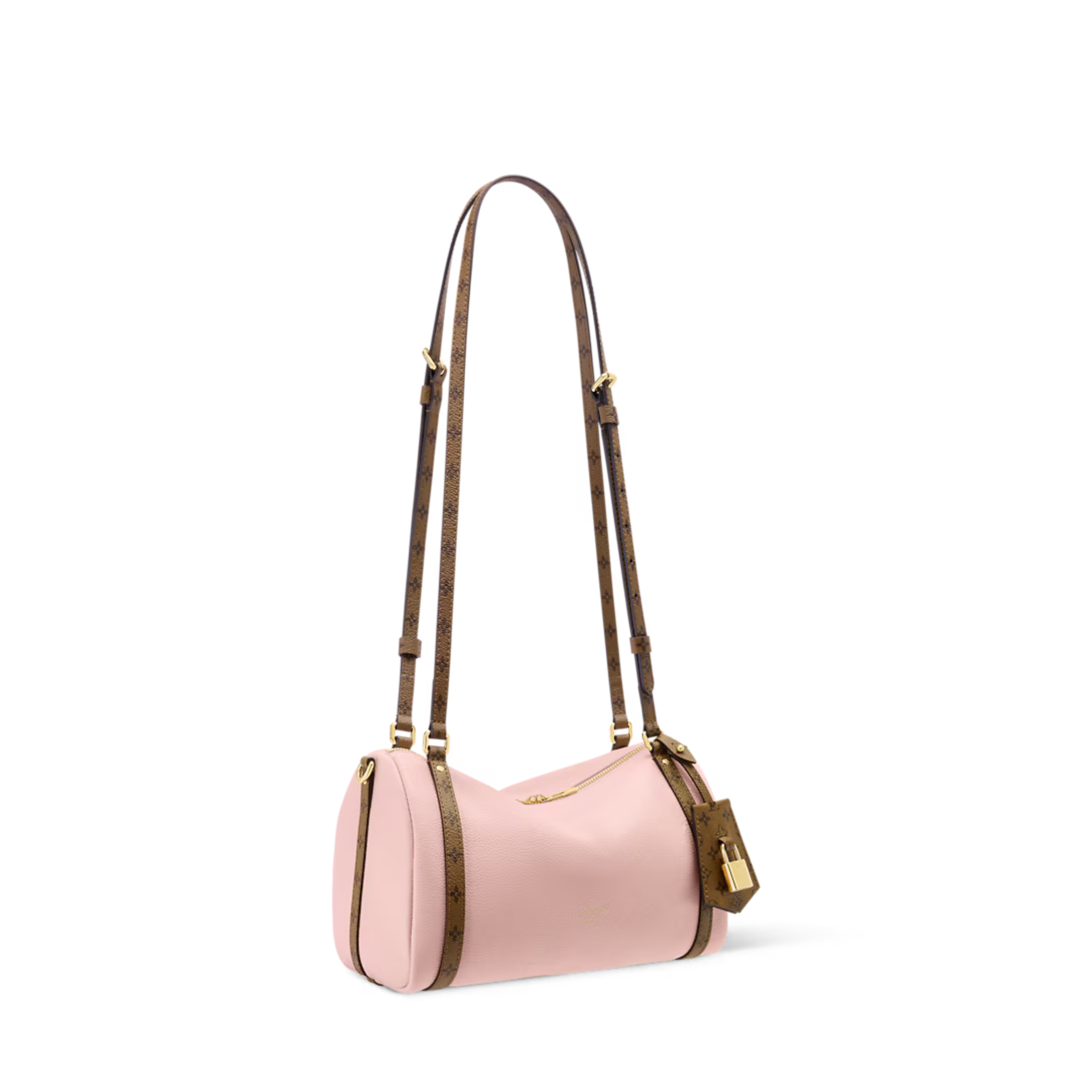 Louis Vuitton Express PM Bag