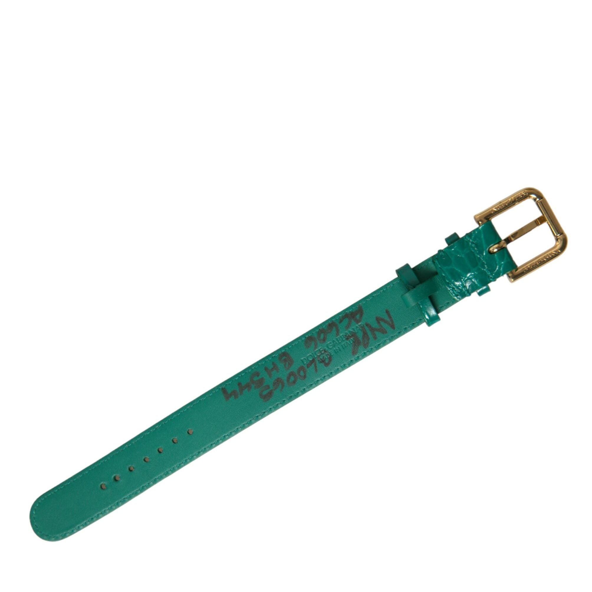 Dolce & Gabbana Green Textured Leather Gold Tone Metal Buckle Neckband