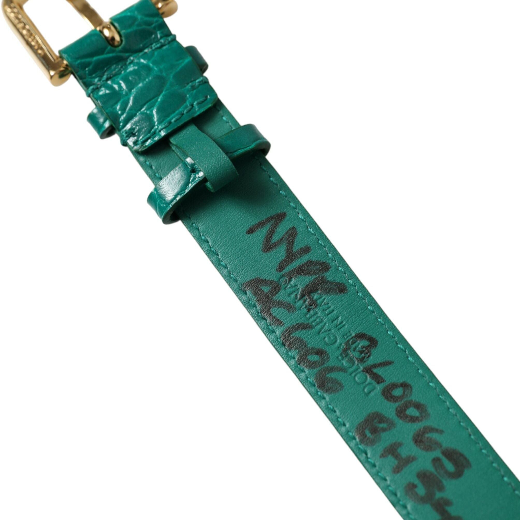 Dolce & Gabbana Green Textured Leather Gold Tone Metal Buckle Neckband
