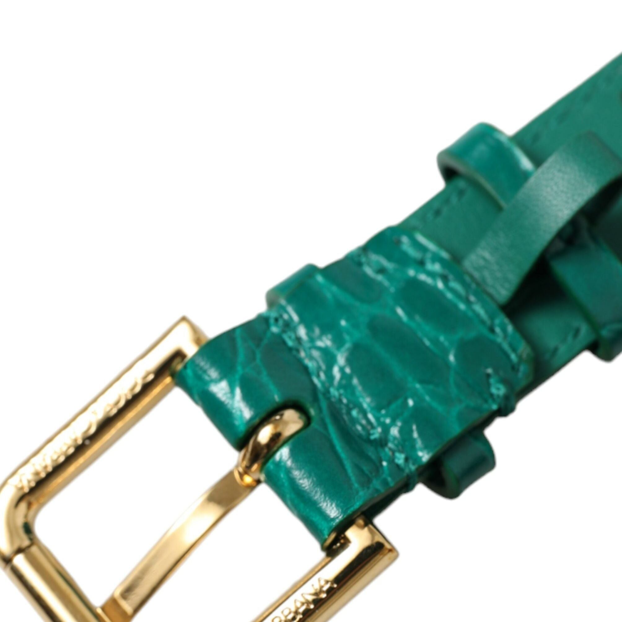 Dolce & Gabbana Green Textured Leather Gold Tone Metal Buckle Neckband