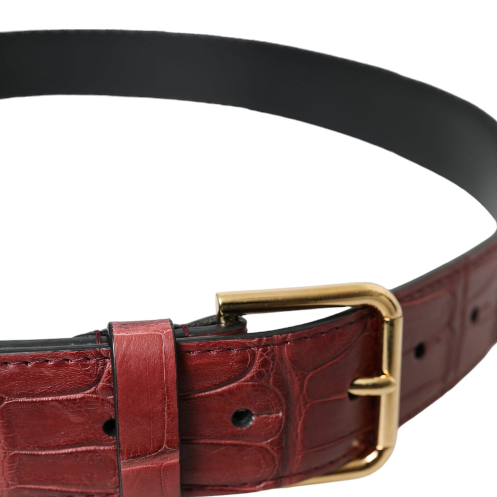 Dolce & Gabbana Brown Alligator Leather Studded Metal Buckle Belt