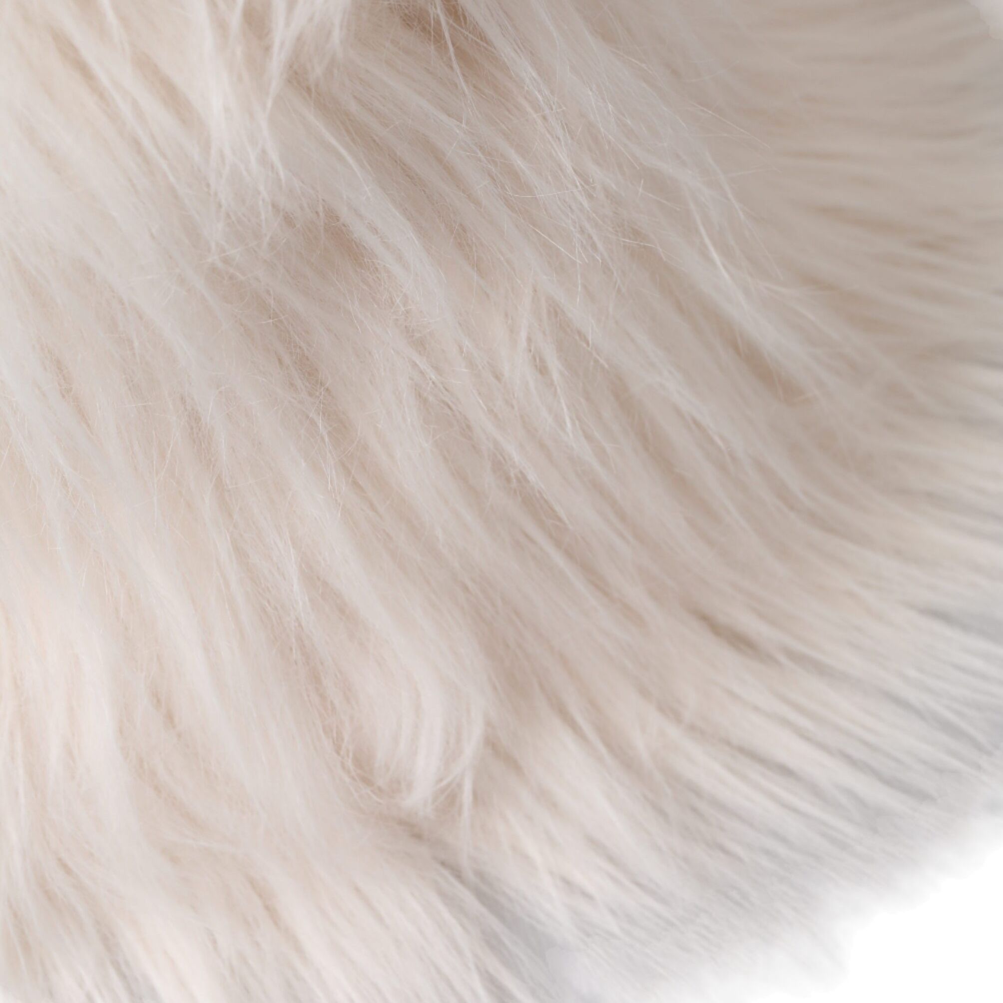Dolce & Gabbana White Acrylic Fur Womens Bucket Hat