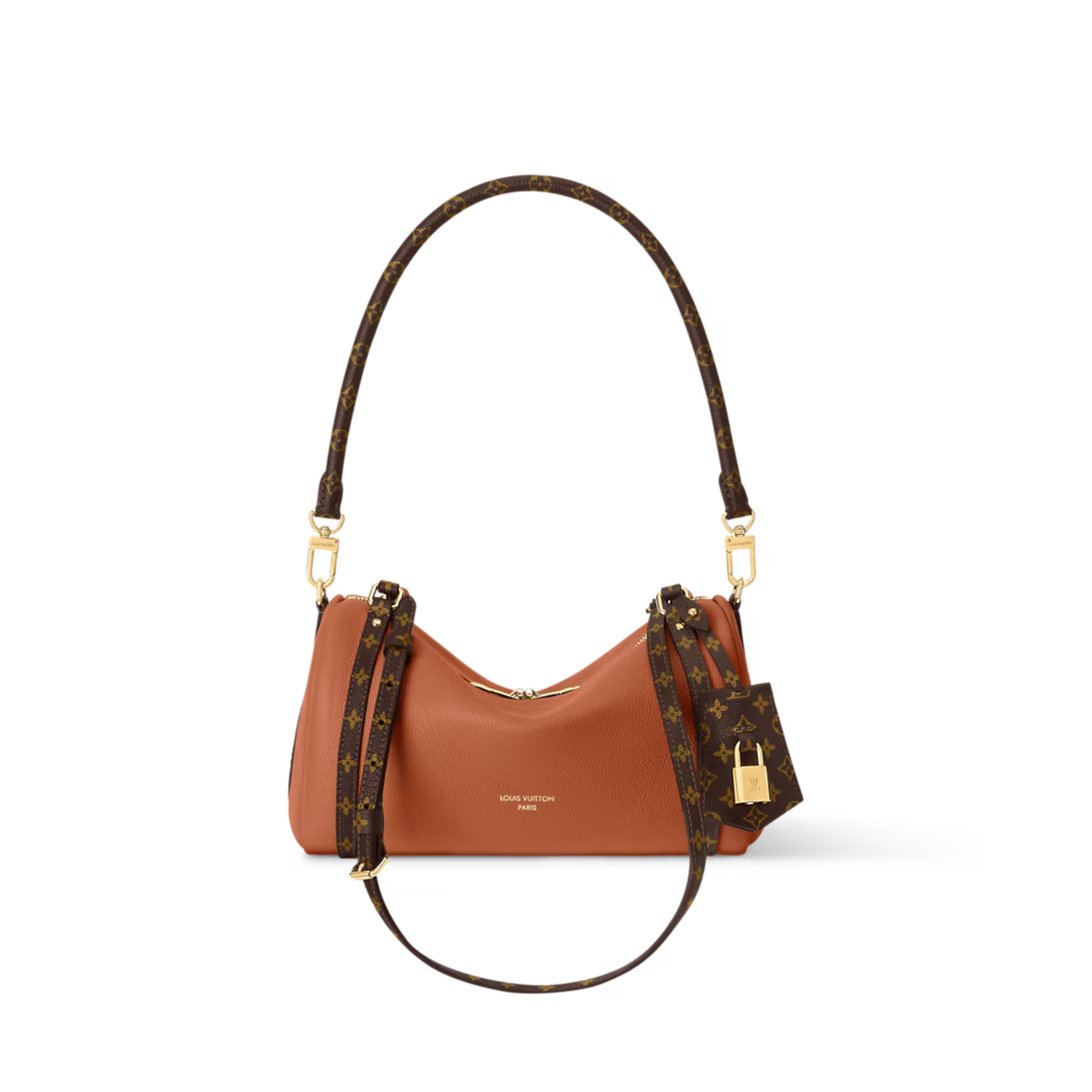Louis Vuitton Express PM Bag