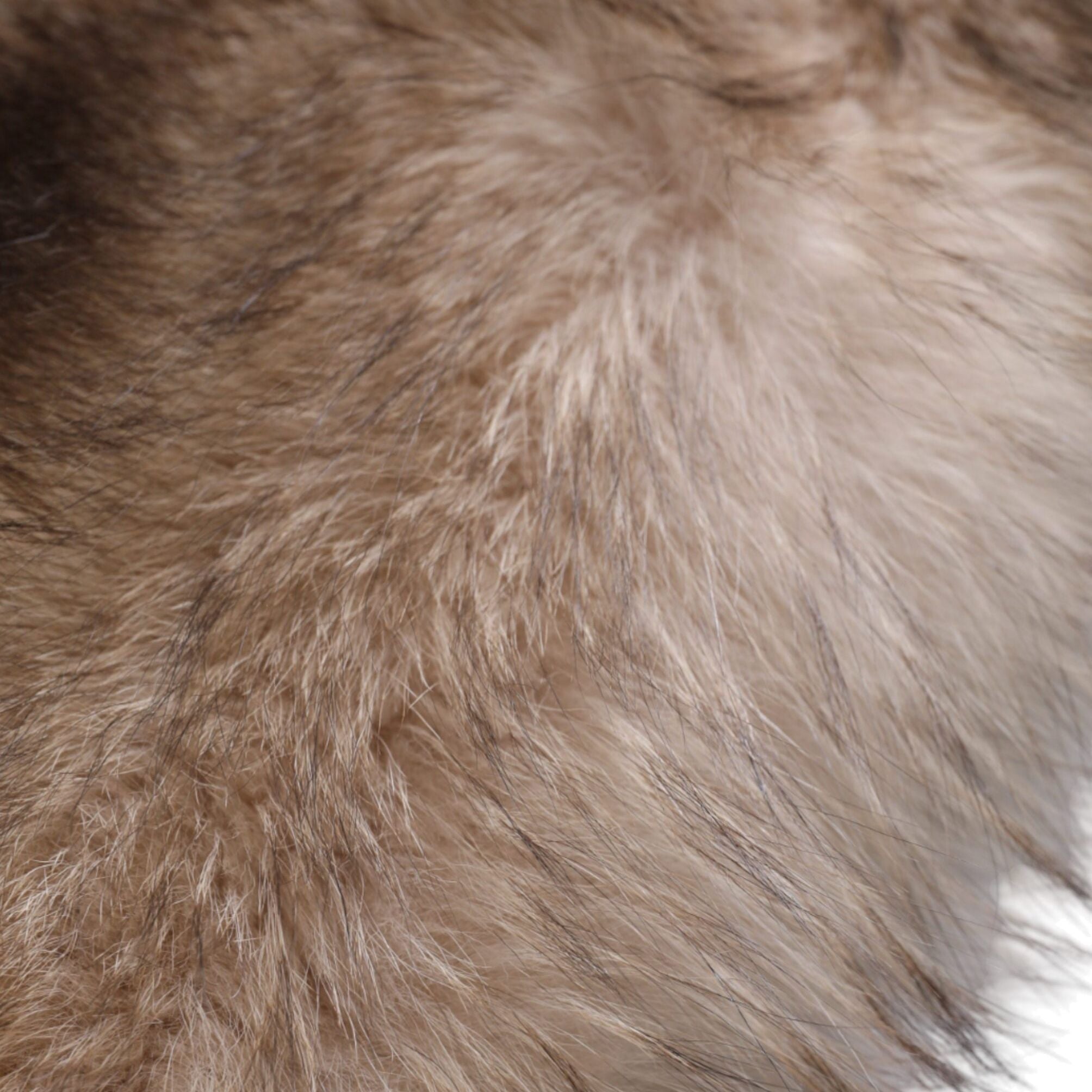 Dolce & Gabbana Brown Frost Fox Fur Neck Warmer Winter Scarf