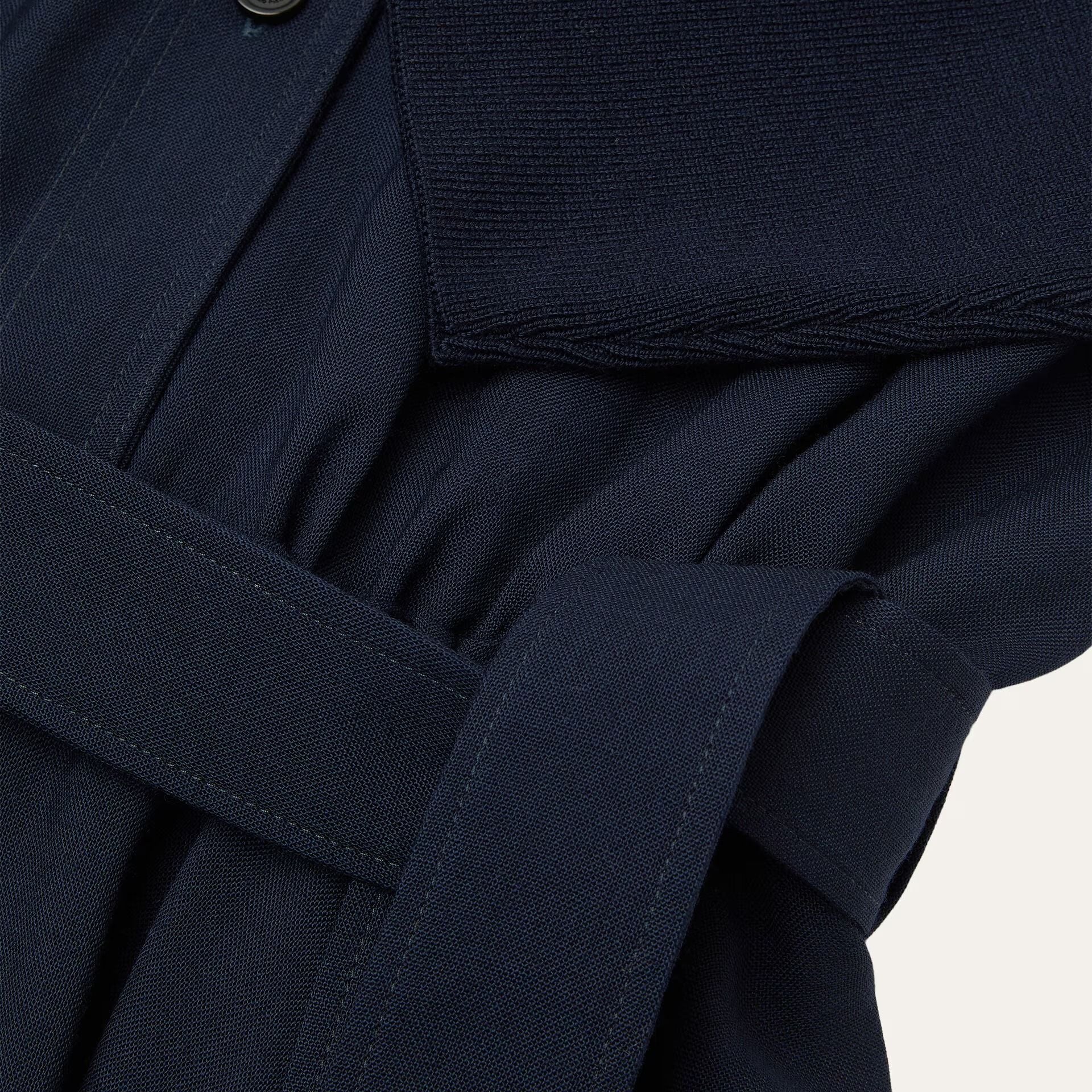 Loro Piana Verlaine Dress in Wool