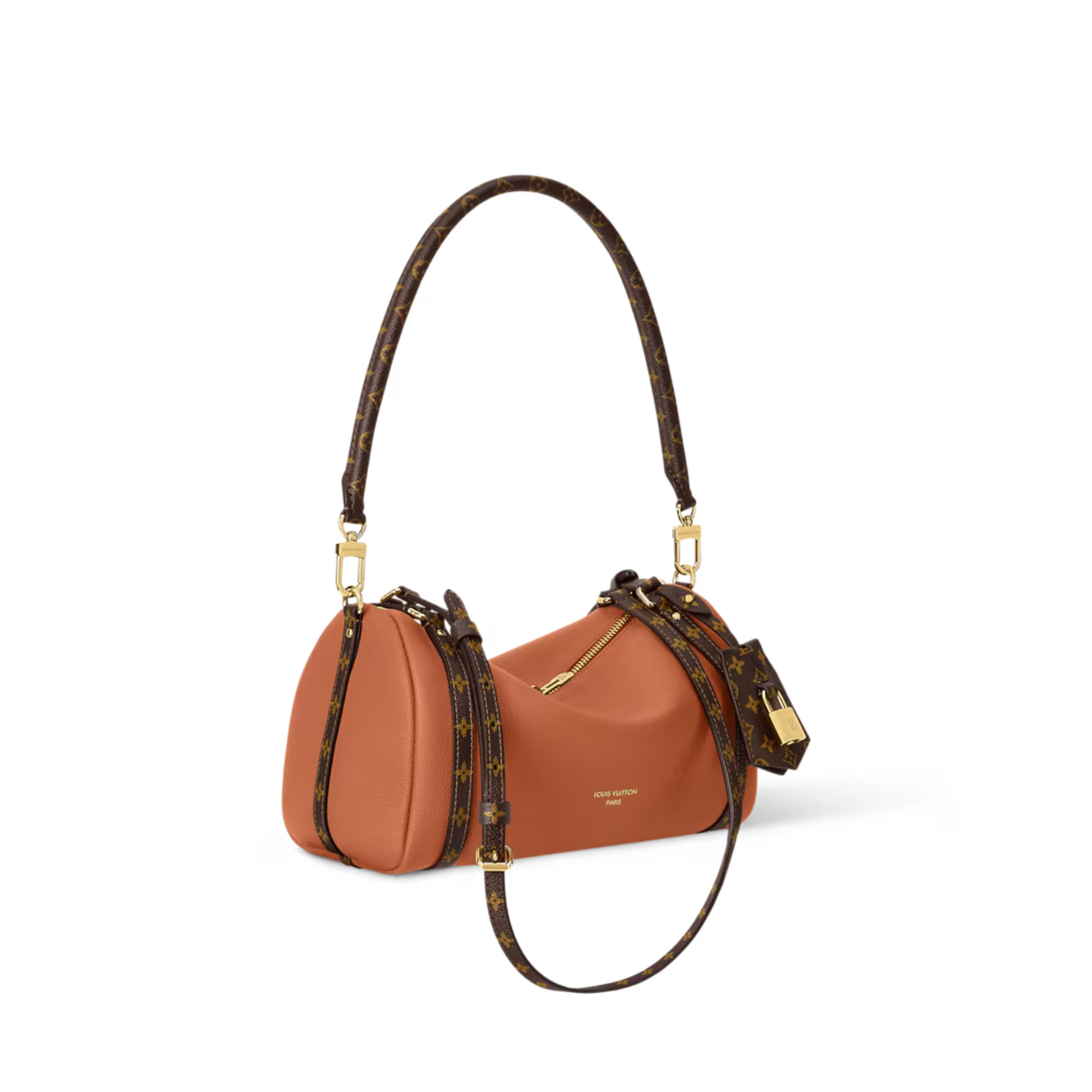 Louis Vuitton Express PM Bag