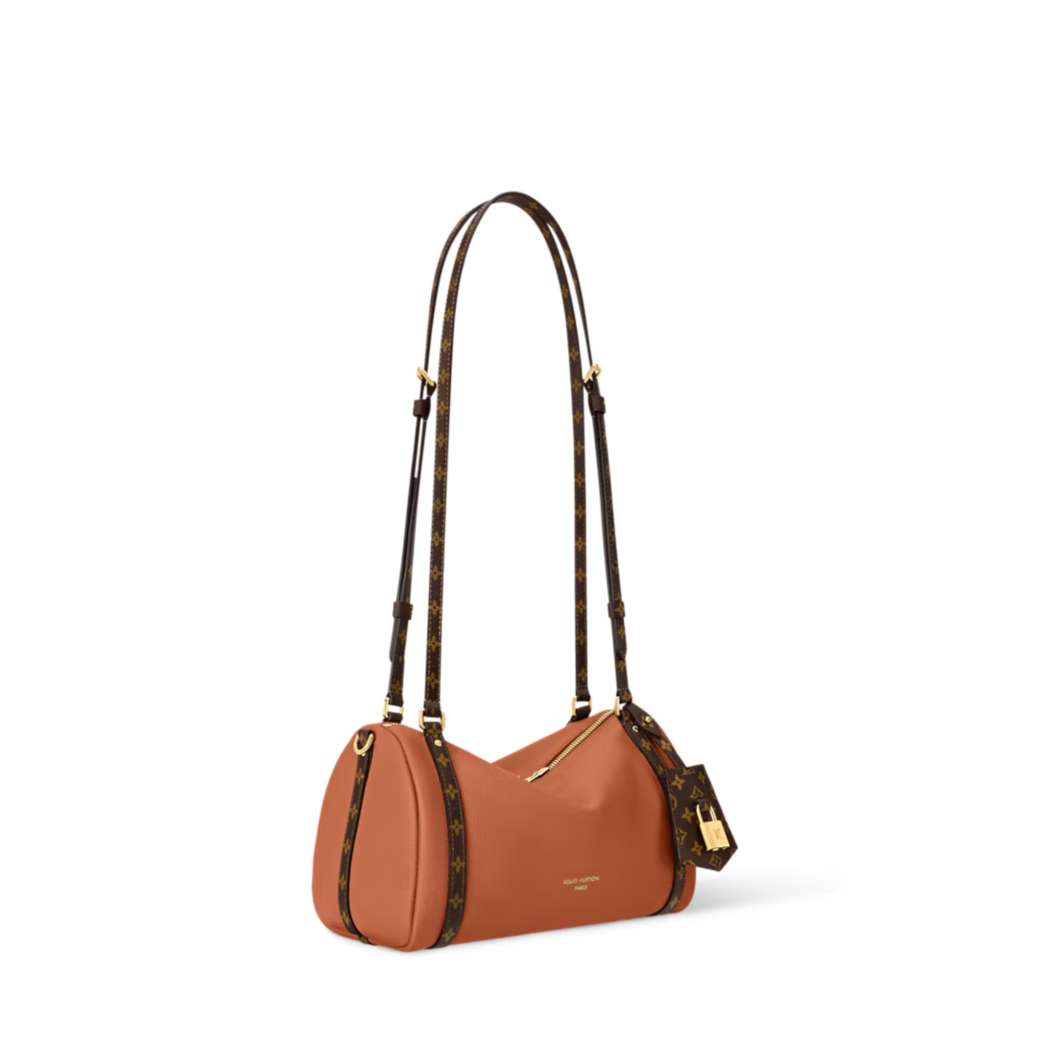 Louis Vuitton Express PM Bag