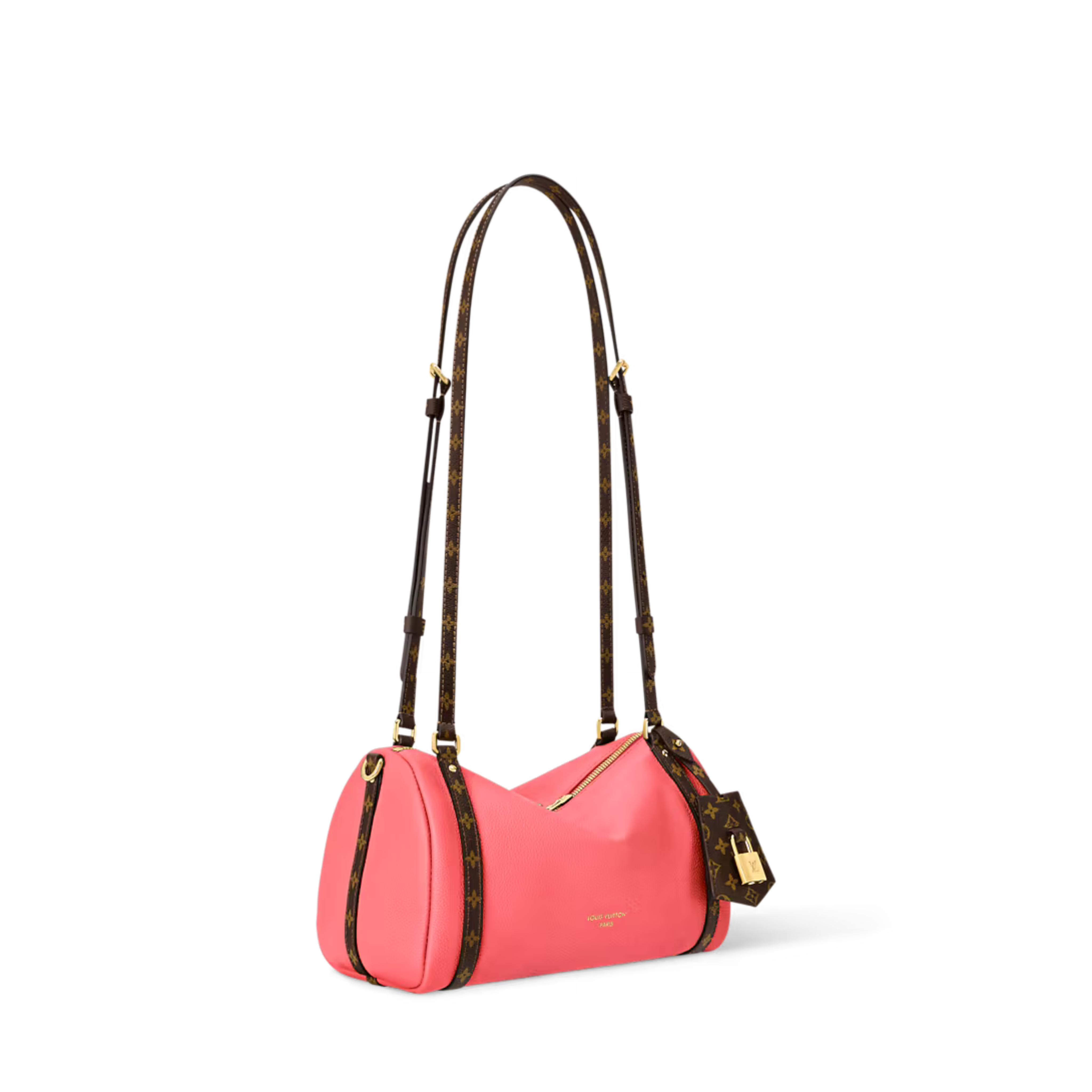 Louis Vuitton Express PM Bag