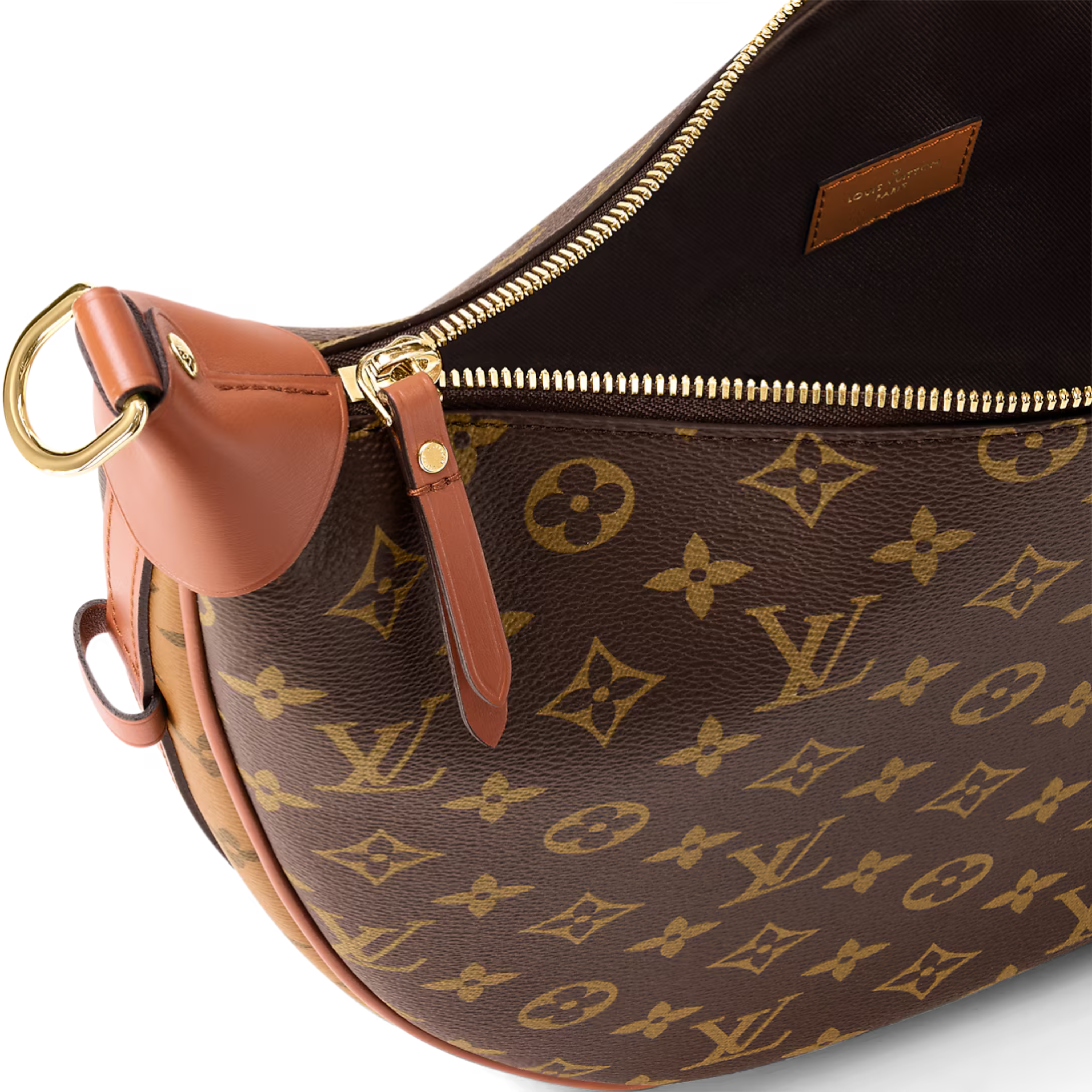 Louis Vuitton Loop Hobo Bag