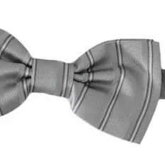 Dolce & Gabbana Light Gray Lining Adjustable Neck Butterfly Bow Tie