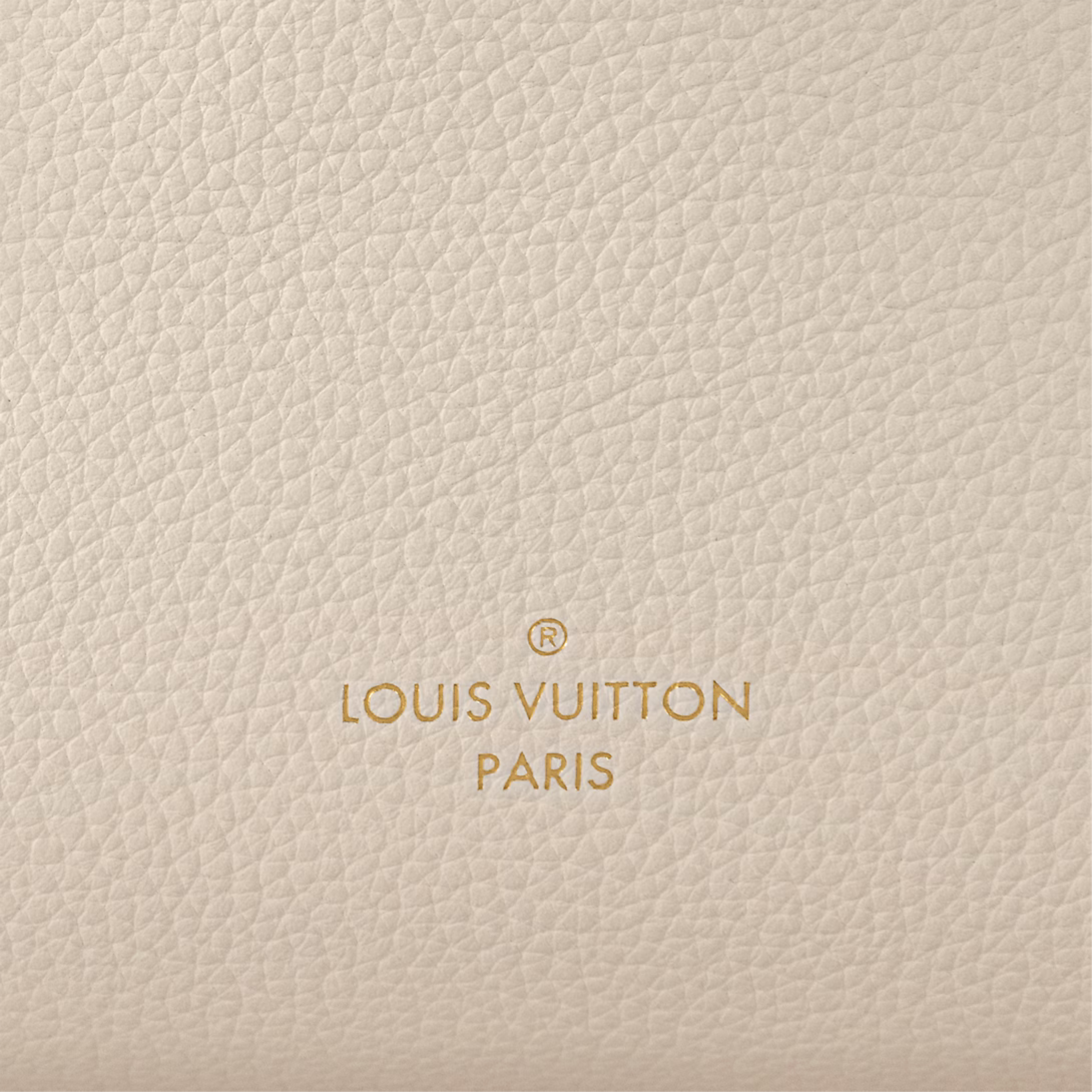Louis Vuitton Side Trunk PM Bag