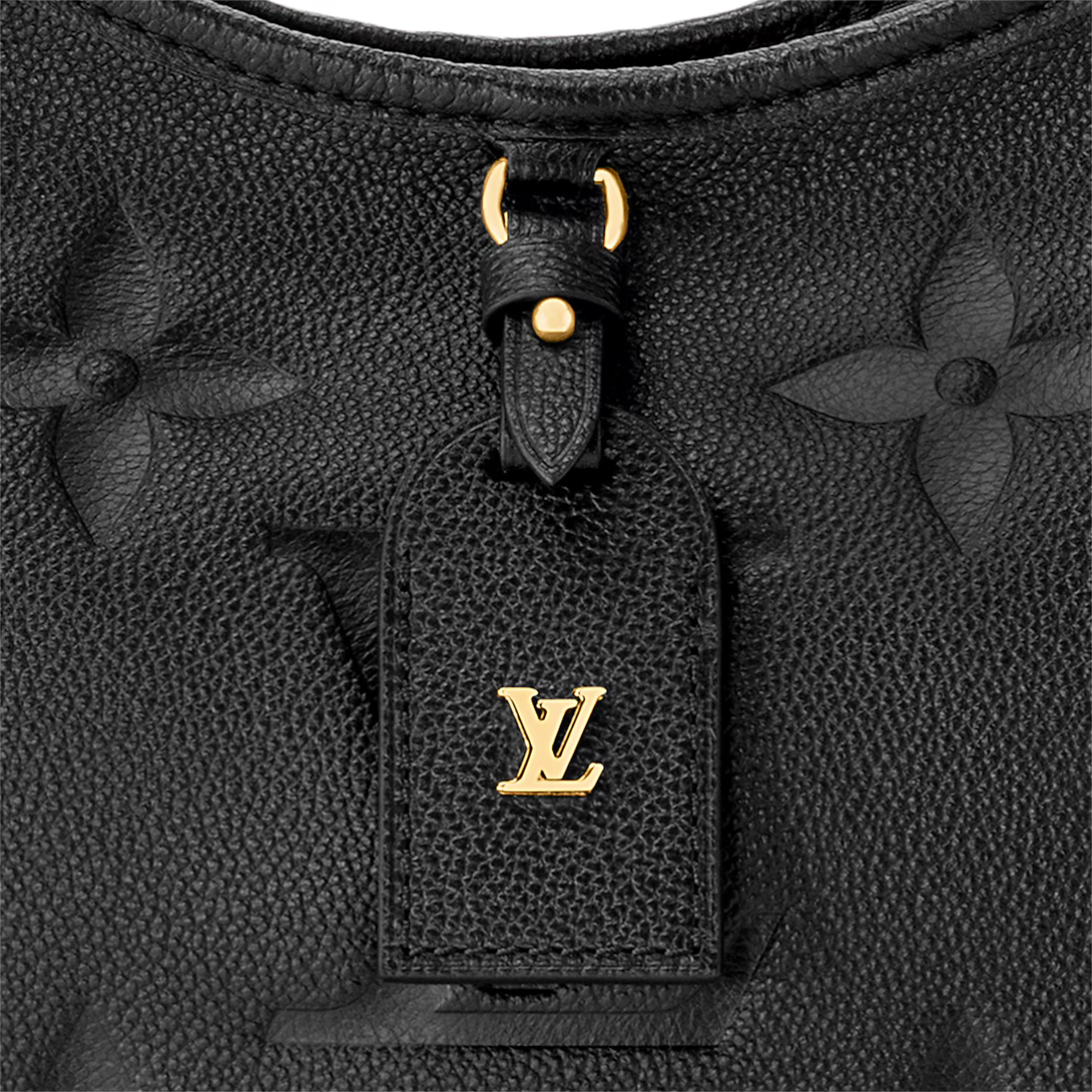 Louis Vuitton CarryAll PM Bag