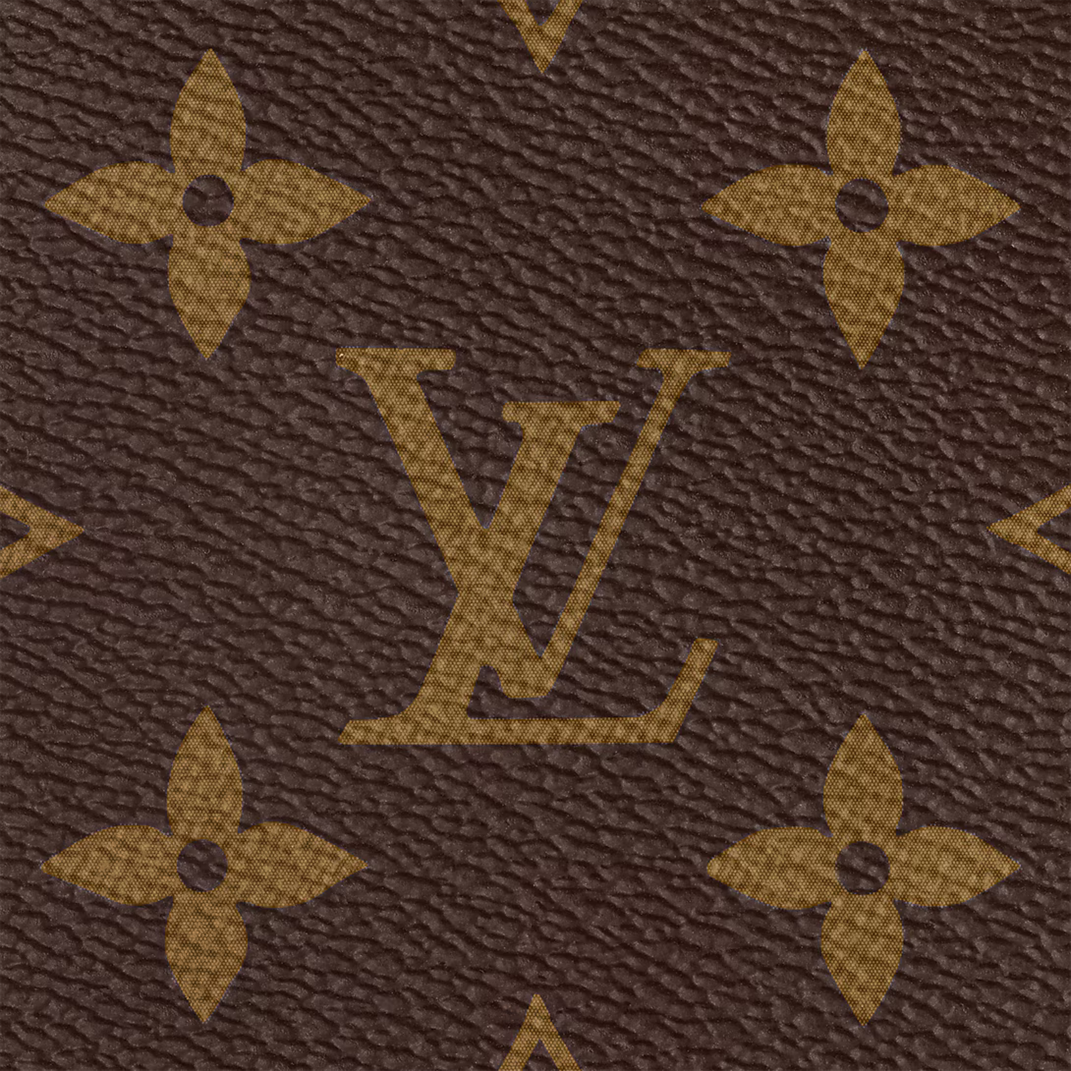Louis Vuitton Speedy Bandoulière 20 Bag